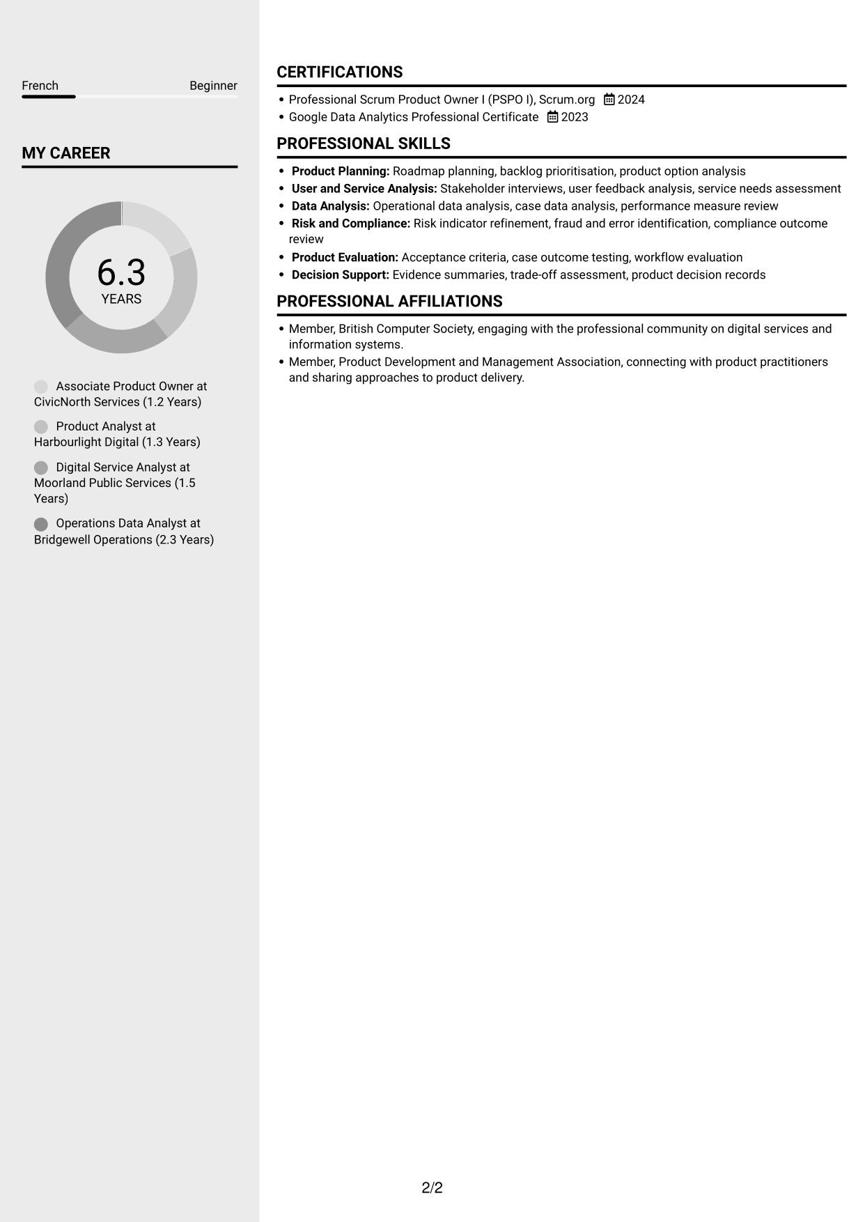 CV example — page 2