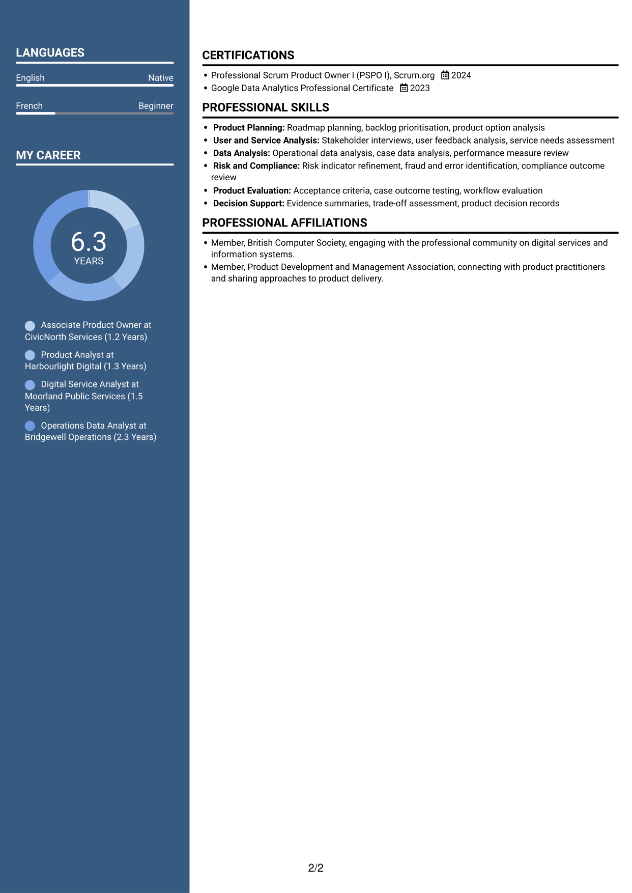 CV example — page 2