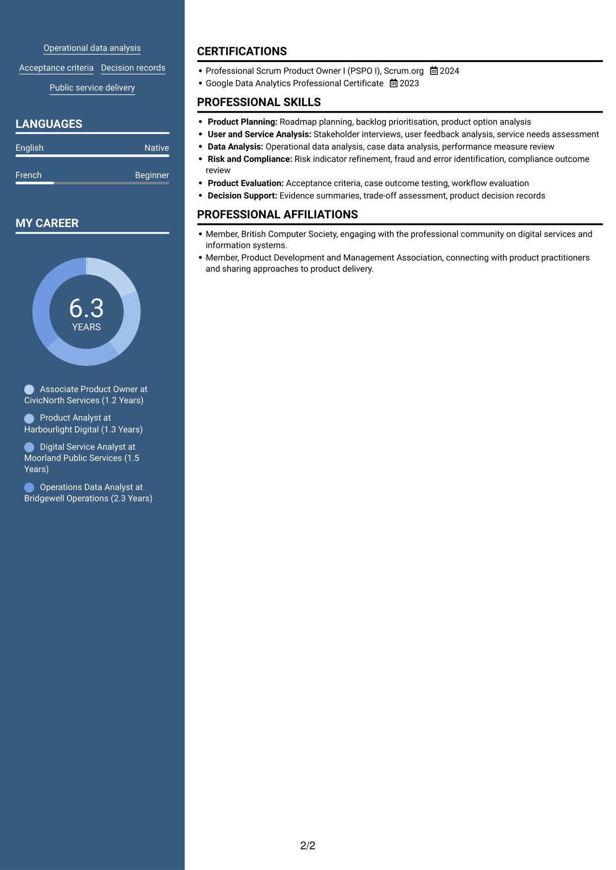 CV example — page 2