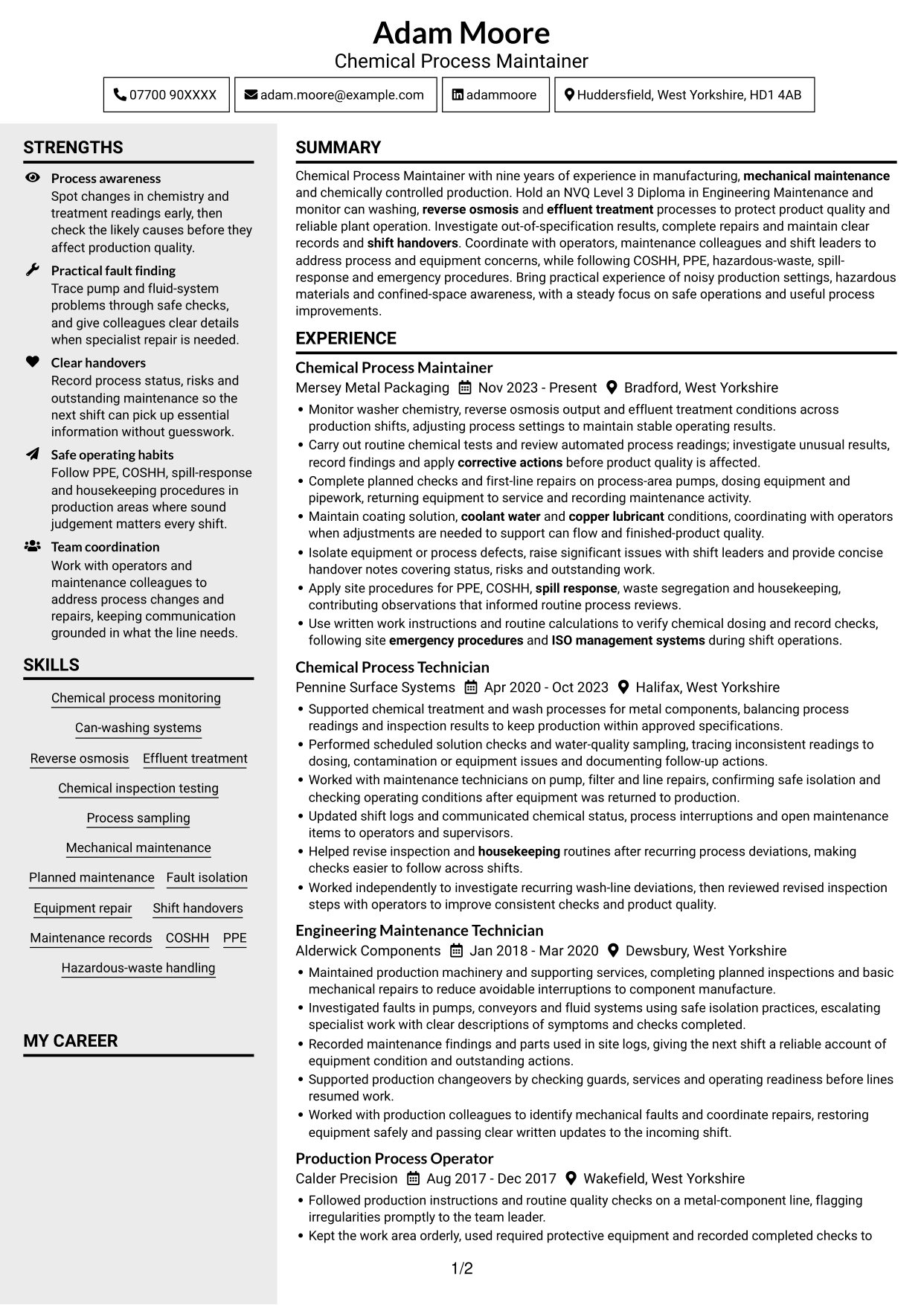 CV example — page 1
