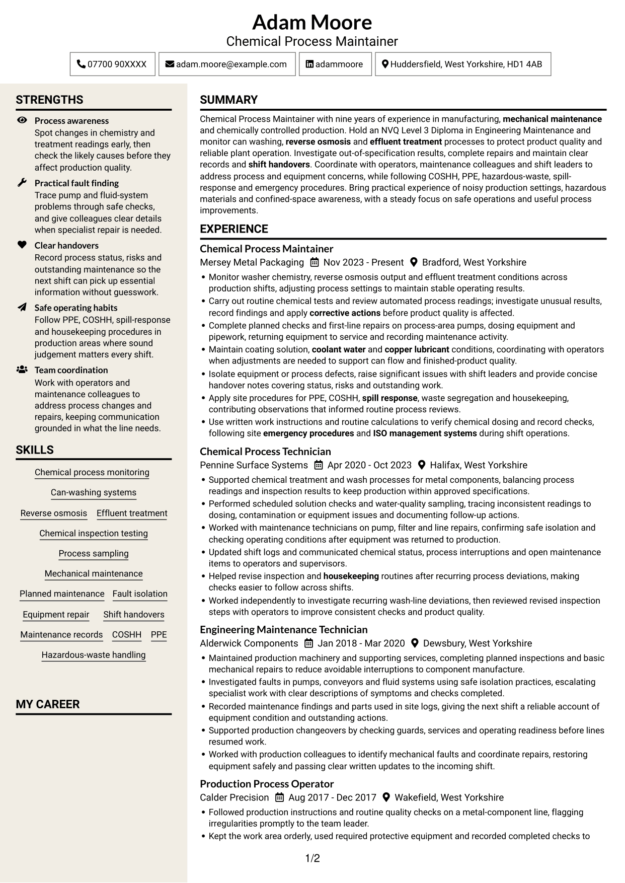 CV example — page 1