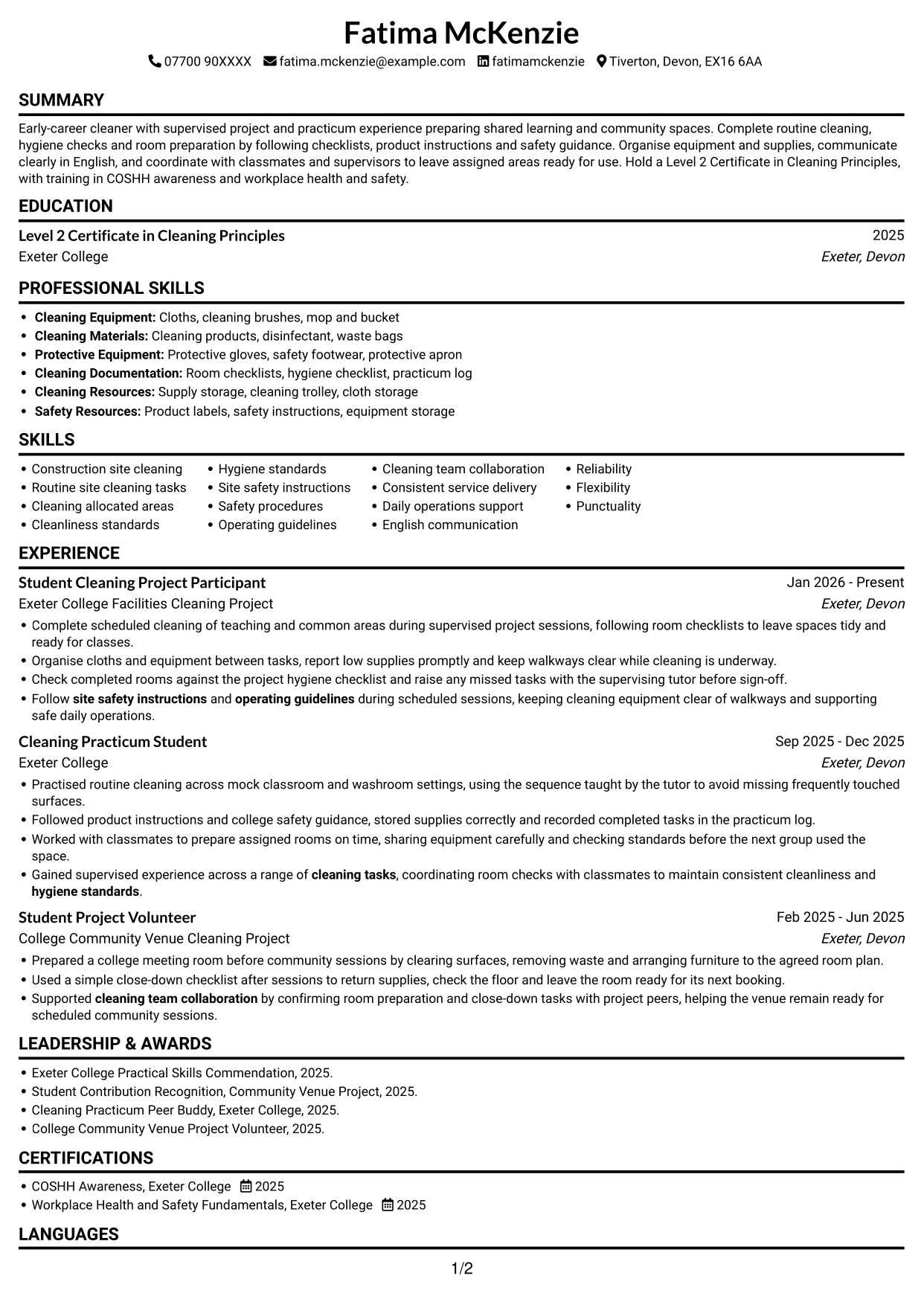CV example — page 1