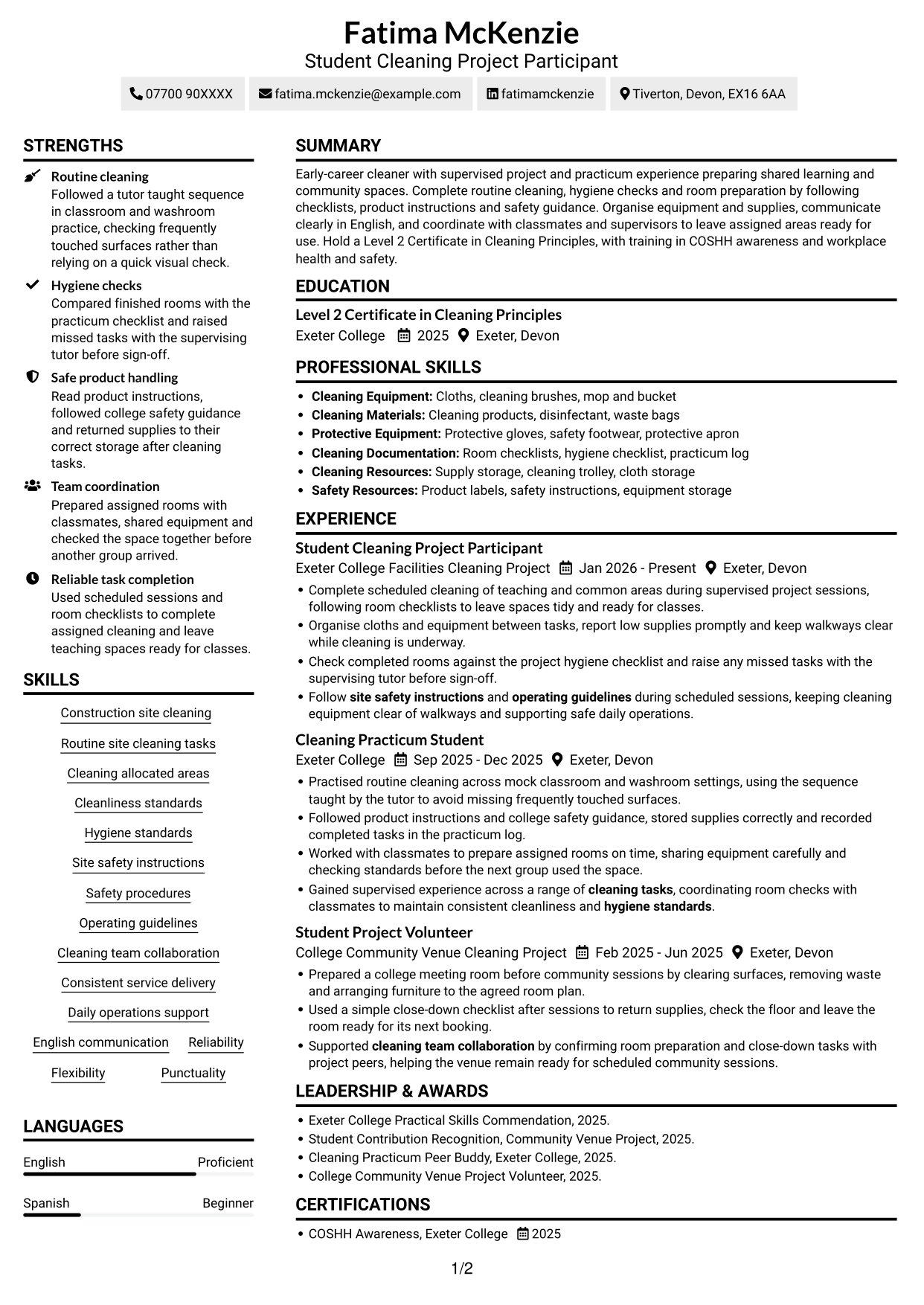 CV example — page 1