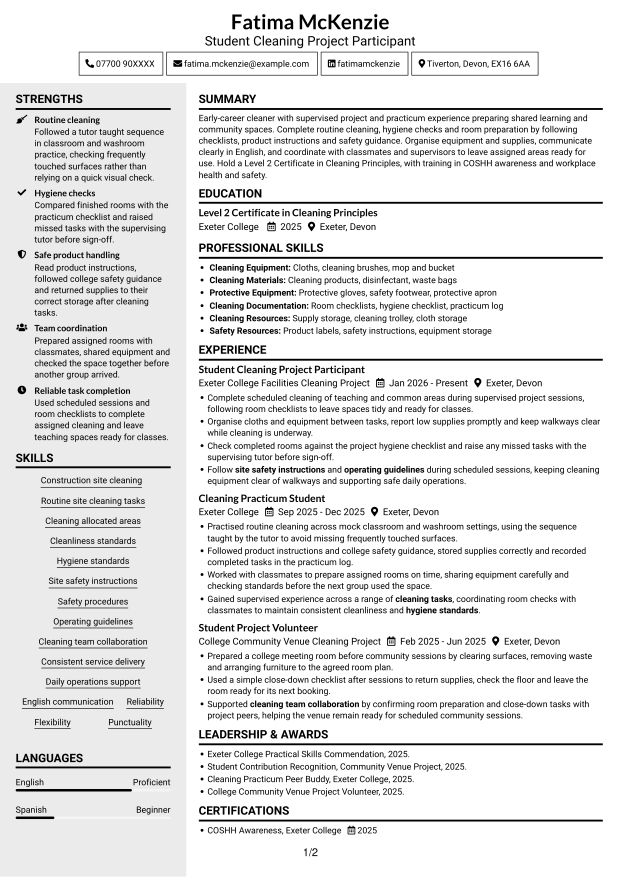 CV example — page 1