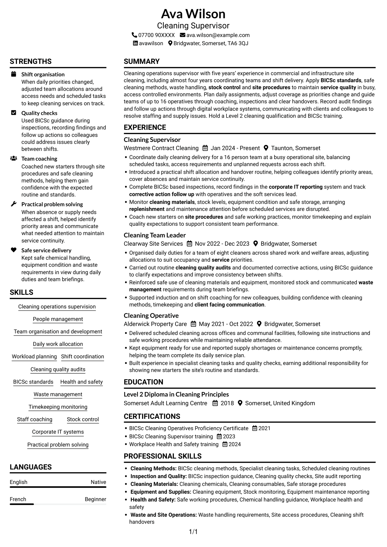 CV example — page 1