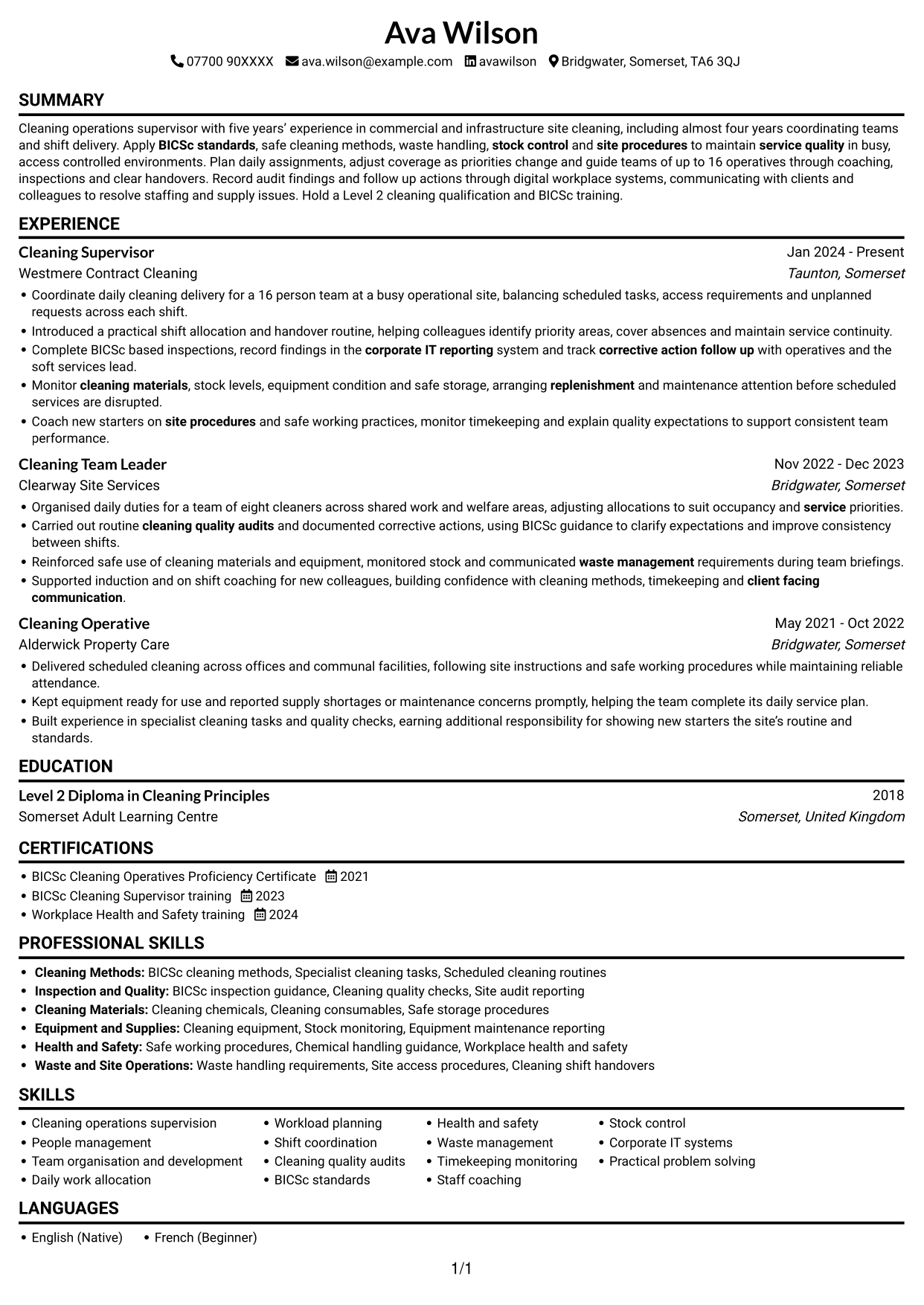 CV example — page 1