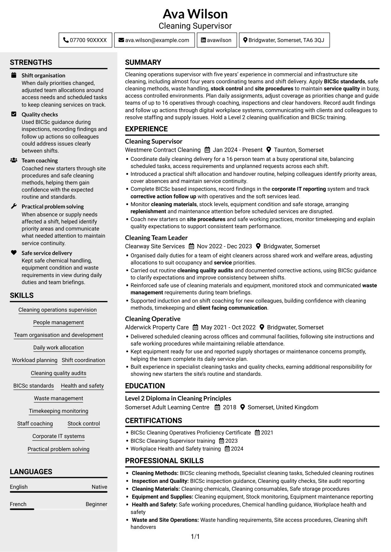 CV example — page 1