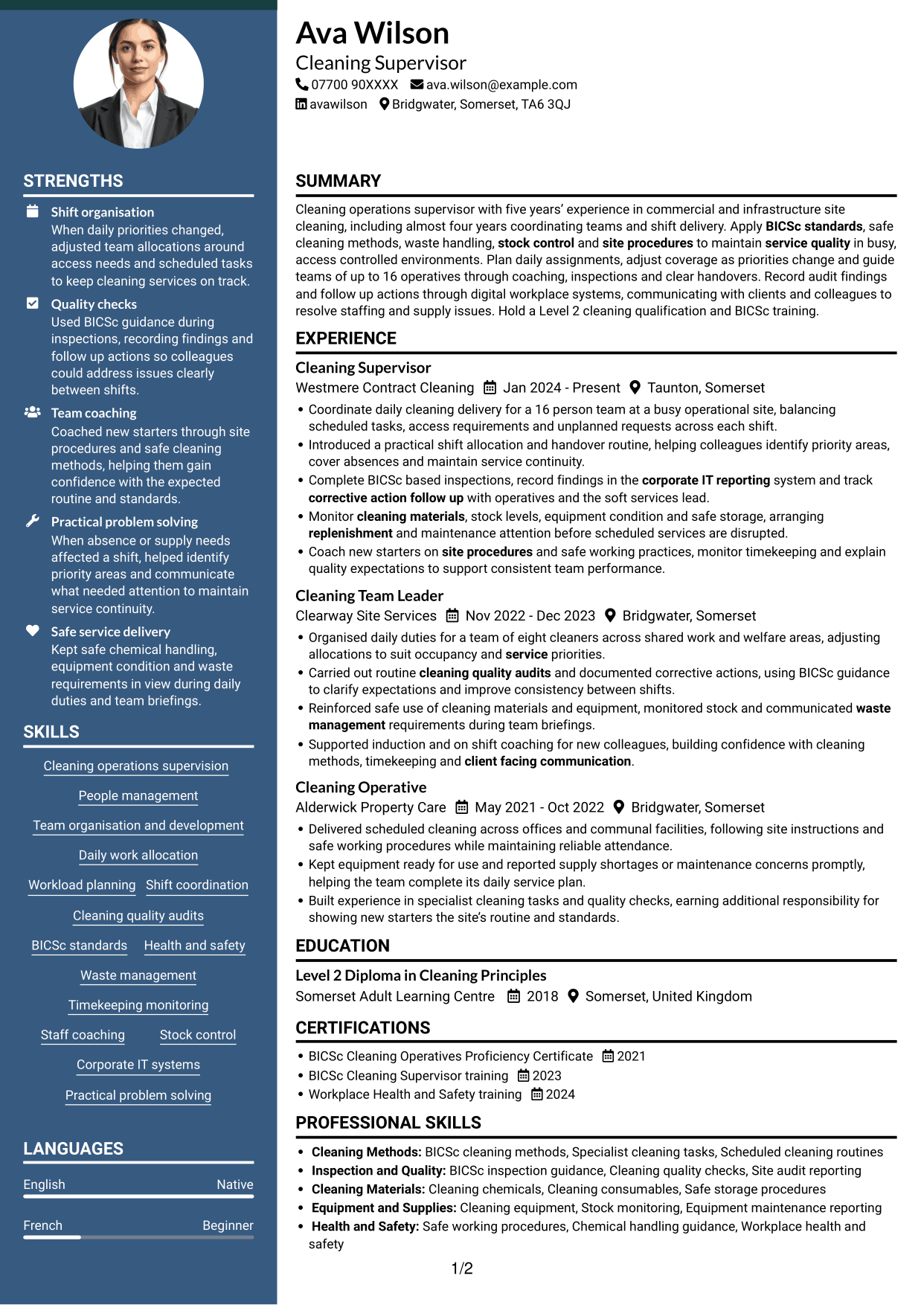 CV example — page 1