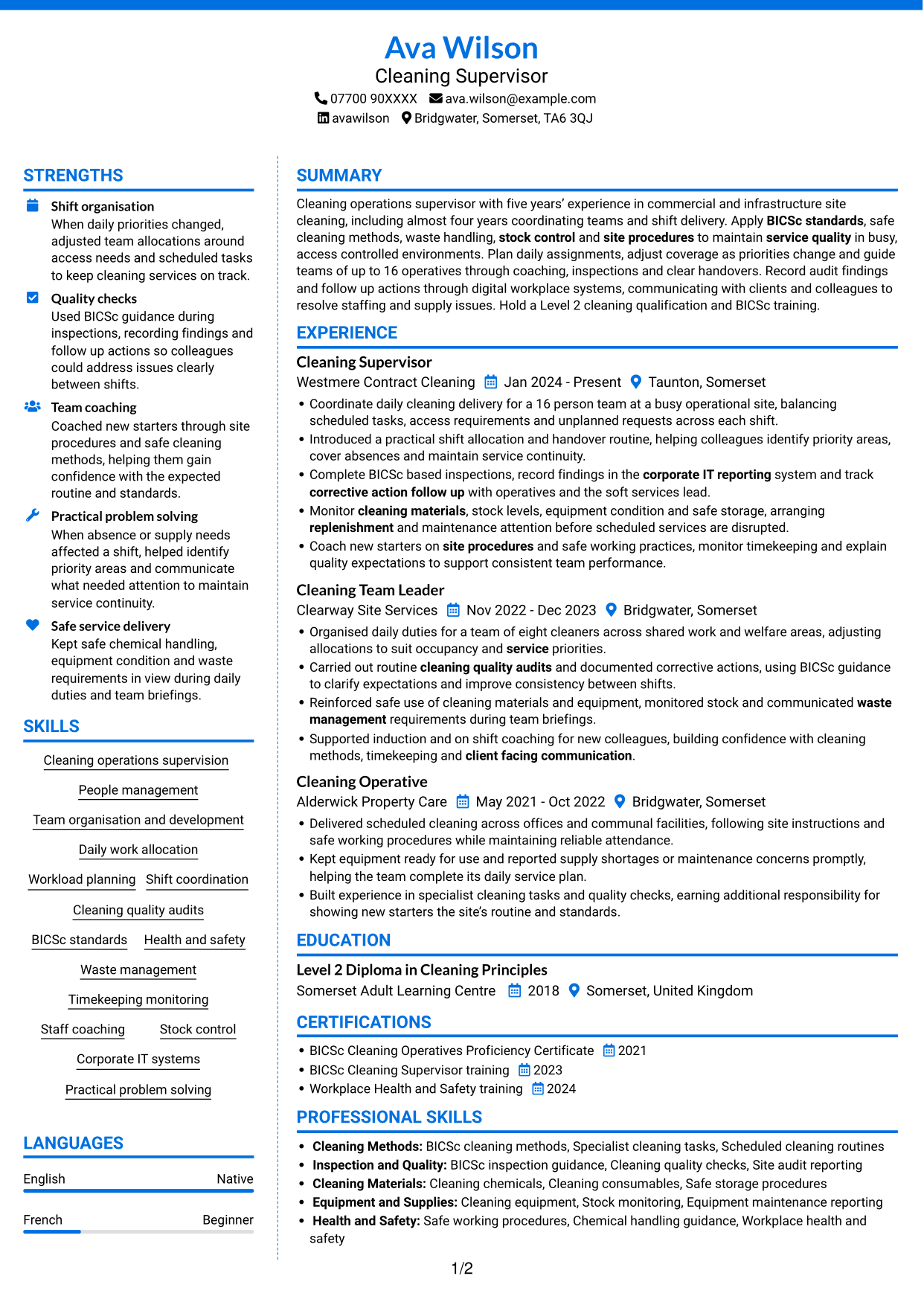 CV example — page 1