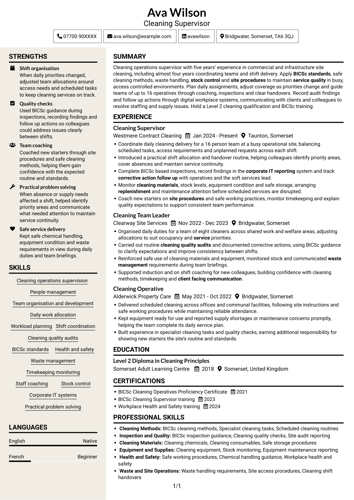 CV example — page 1