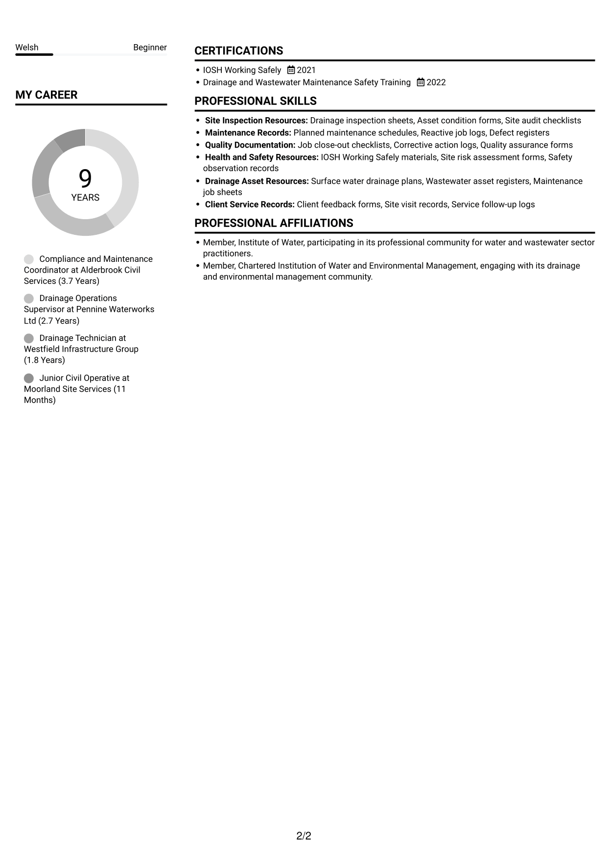 CV example — page 2