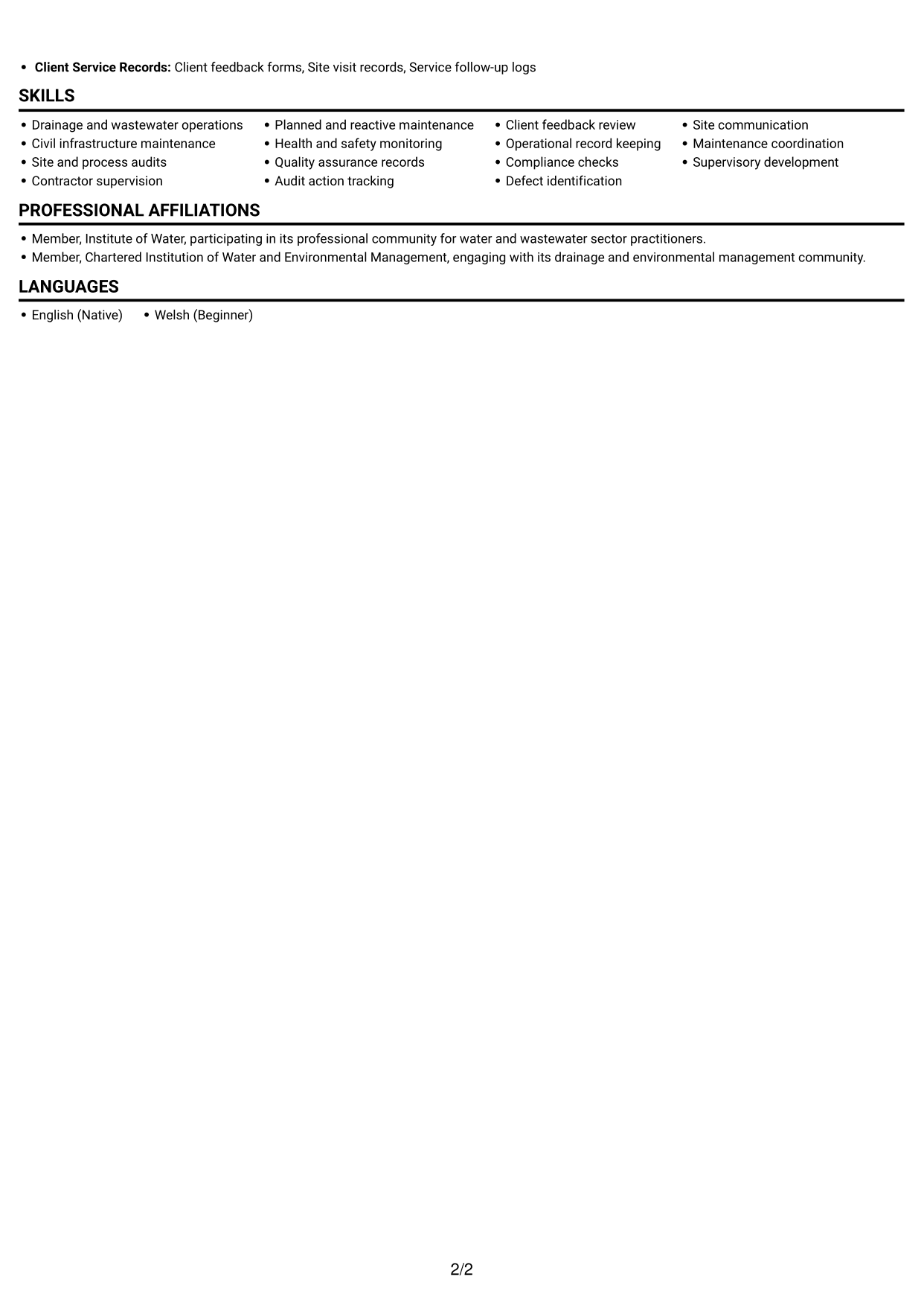CV example — page 2