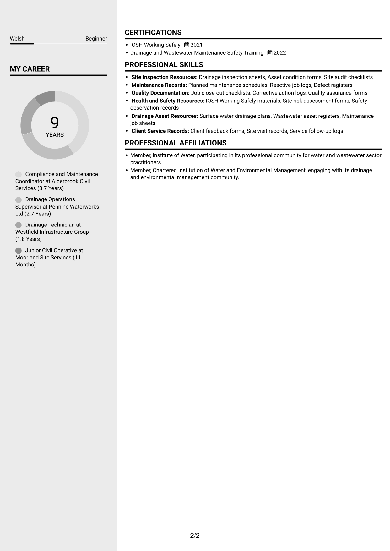 CV example — page 2