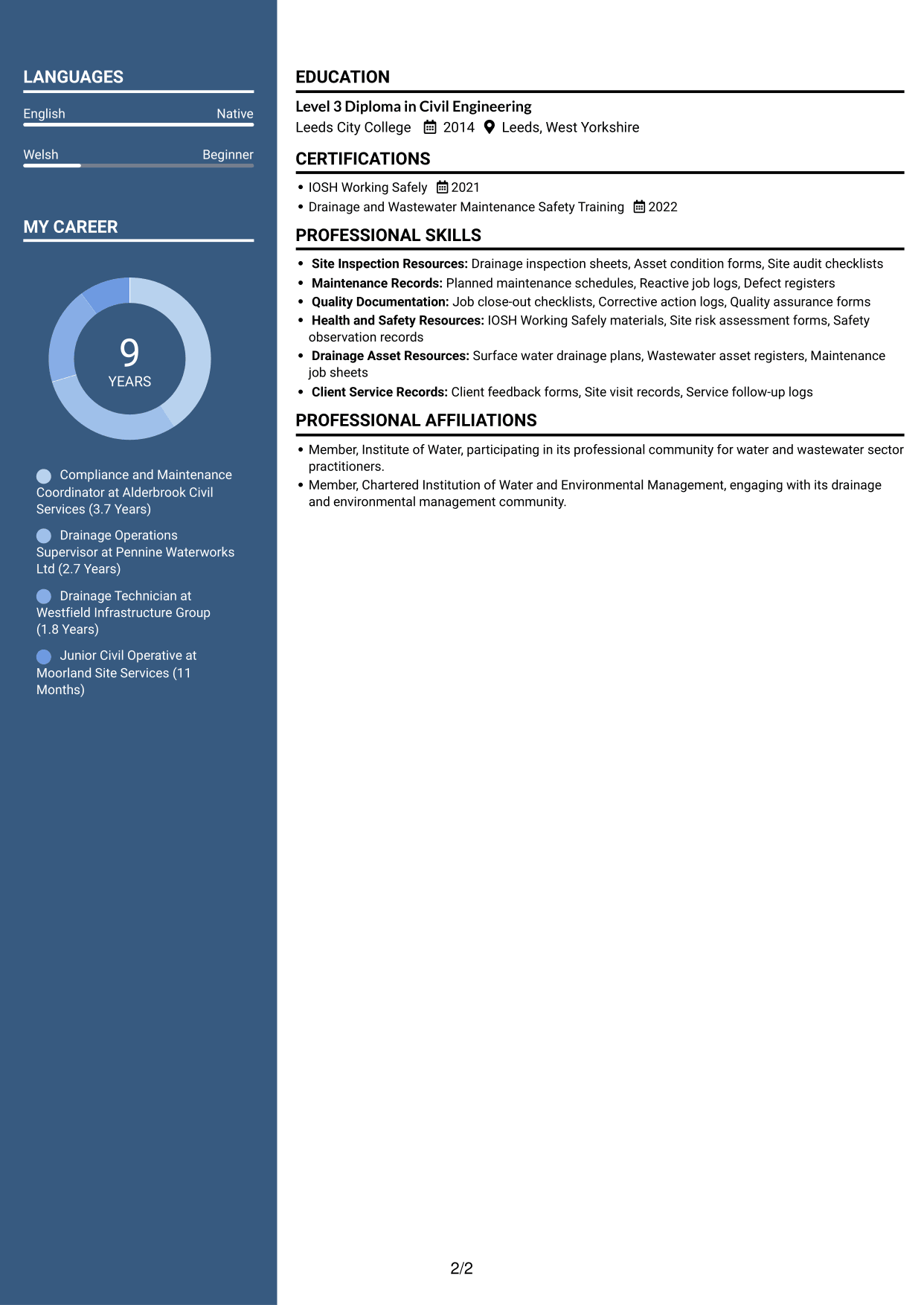 CV example — page 2
