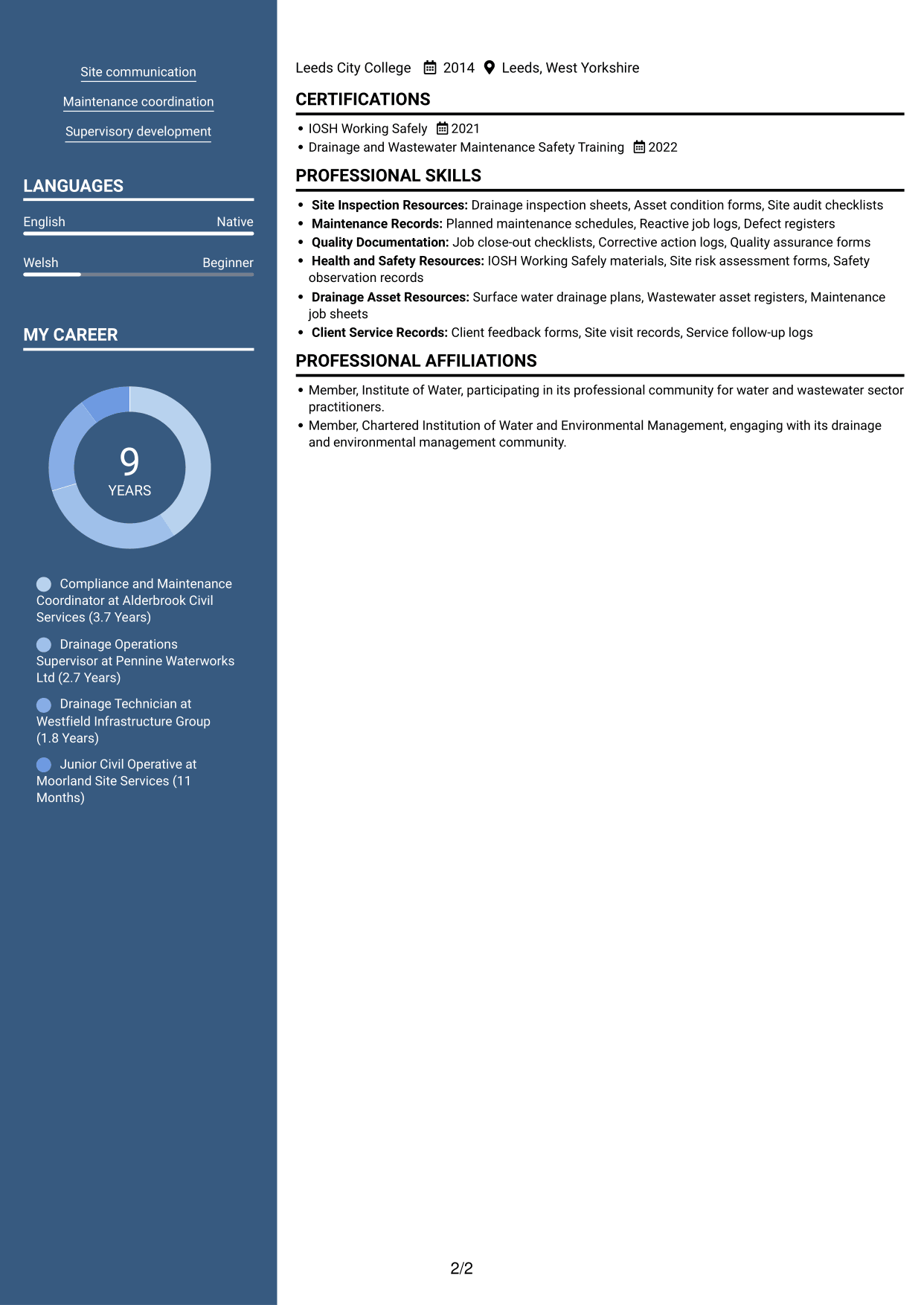 CV example — page 2