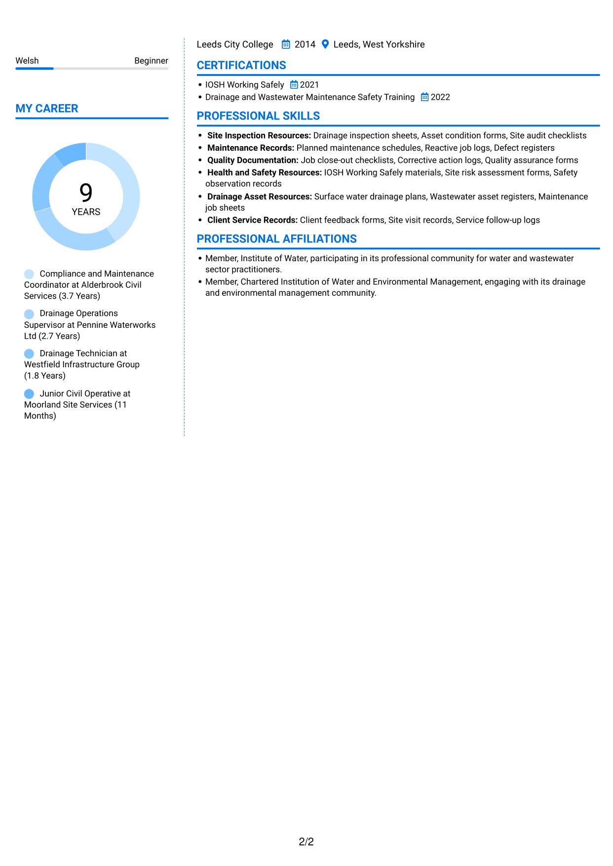 CV example — page 2