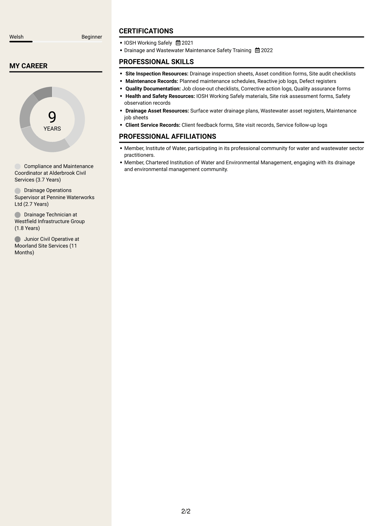 CV example — page 2