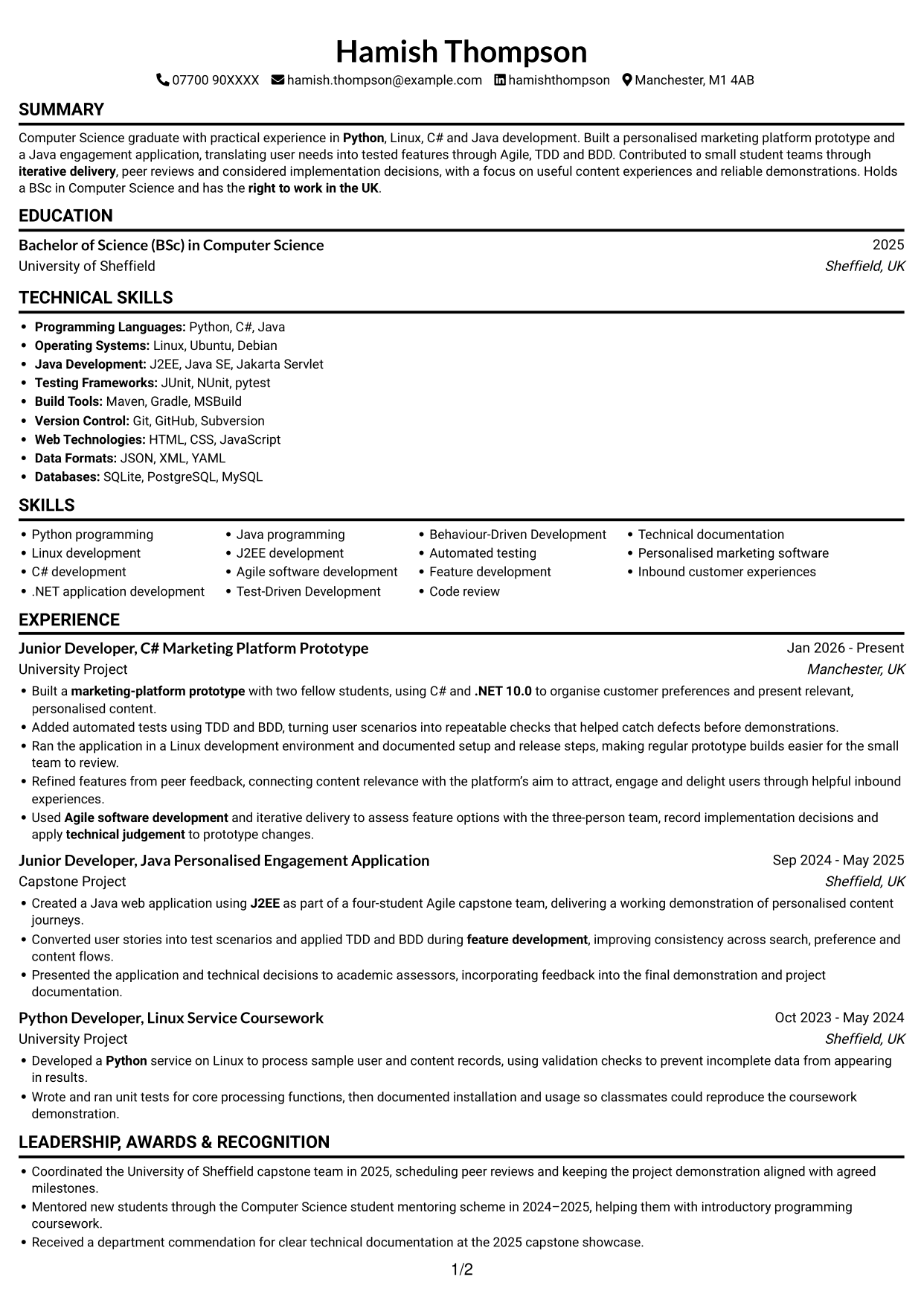 CV example — page 1