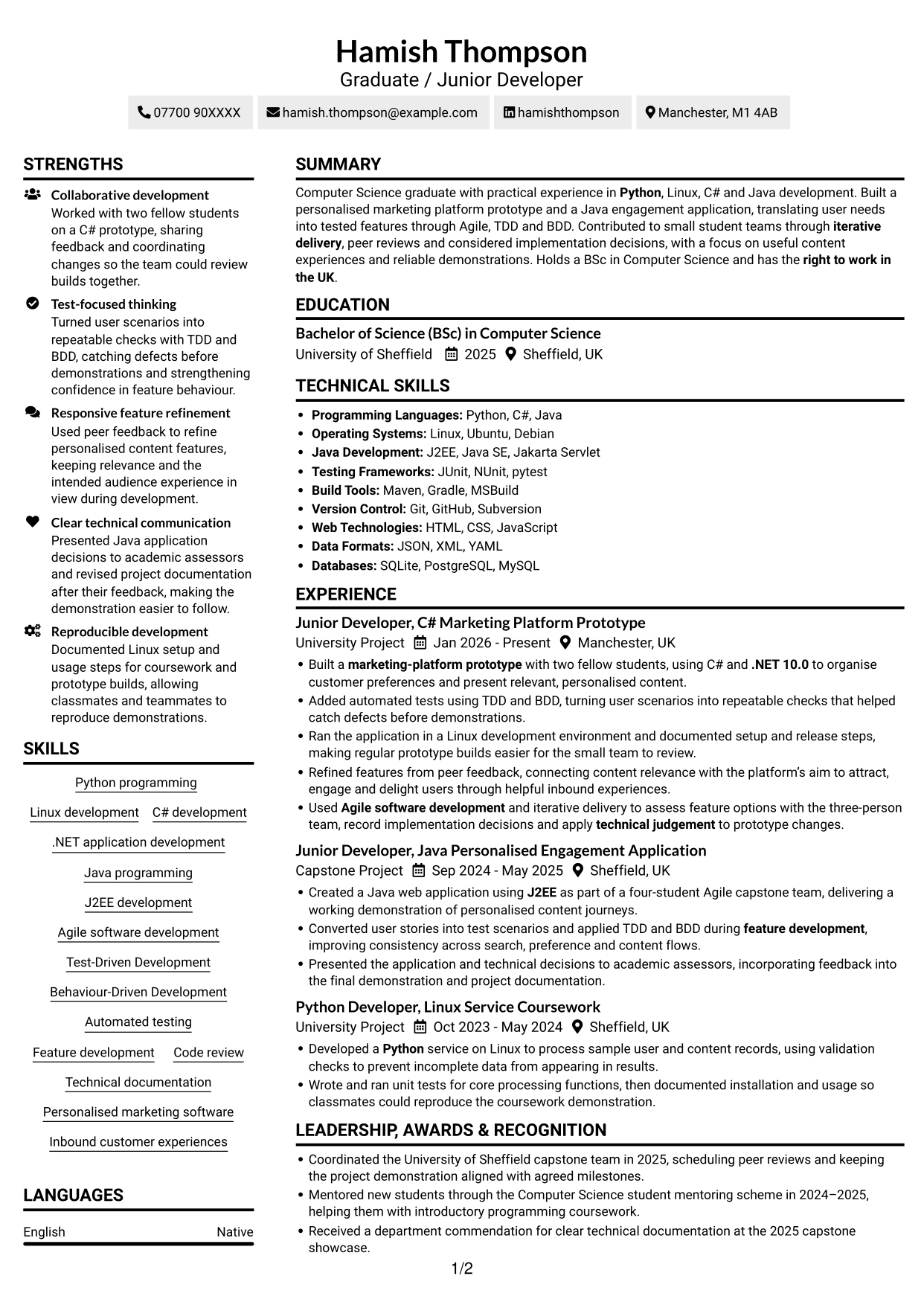 CV example — page 1