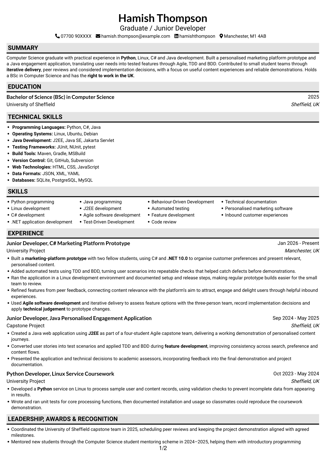 CV example — page 1