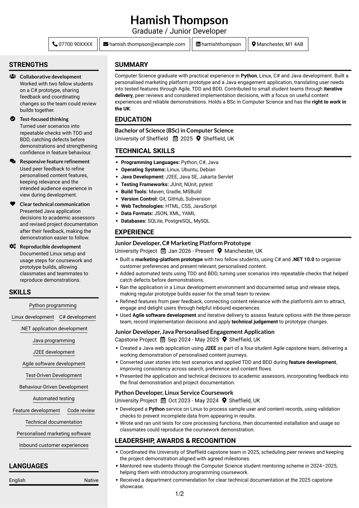 CV example — page 1