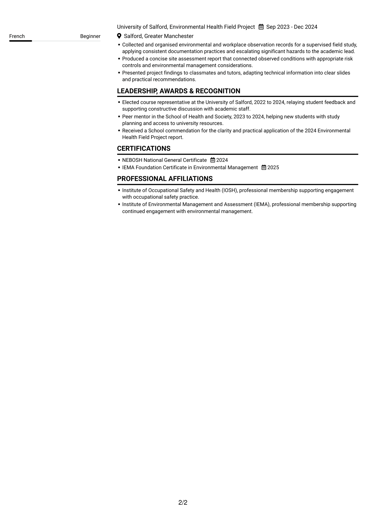 CV example — page 2