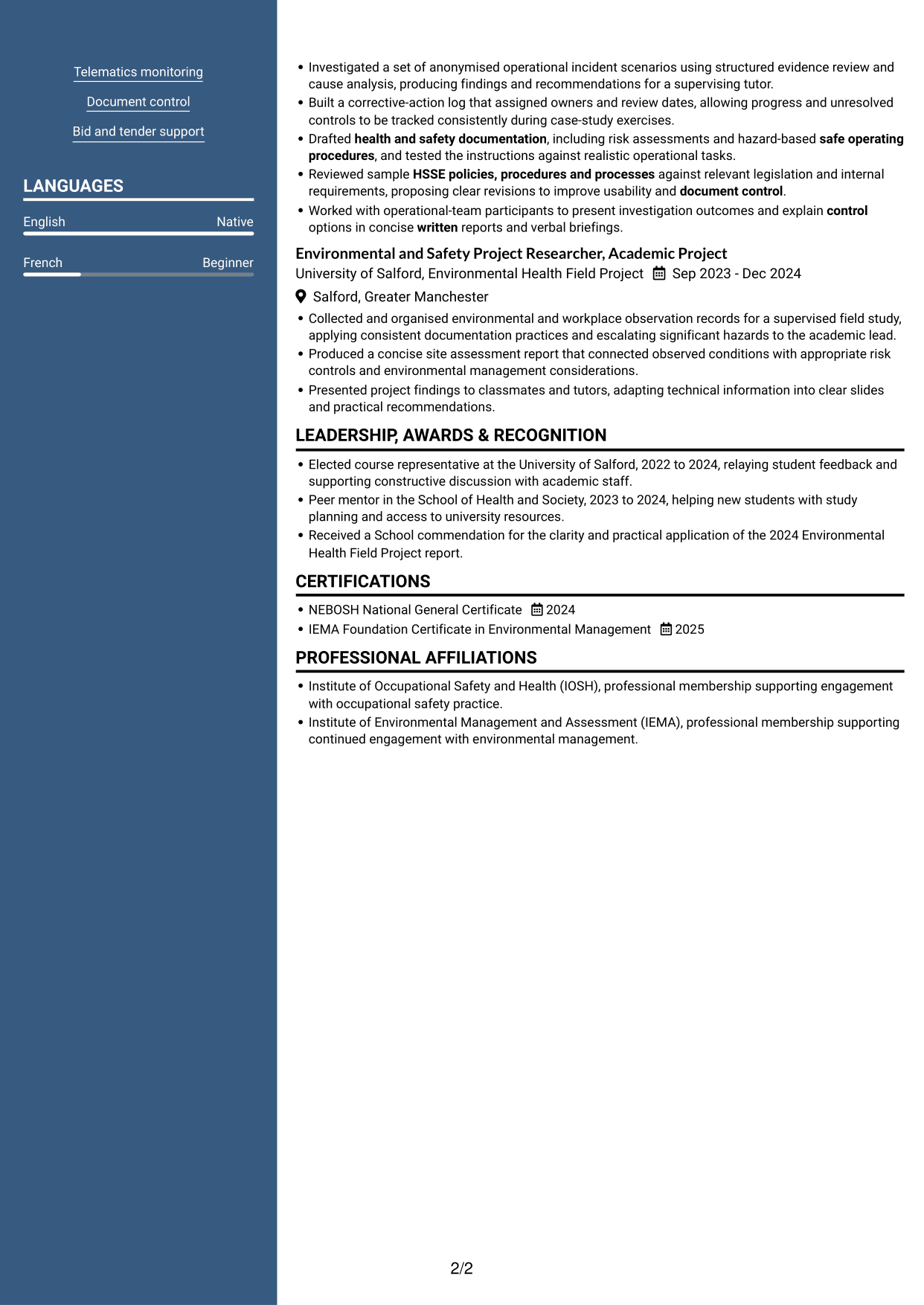 CV example — page 2