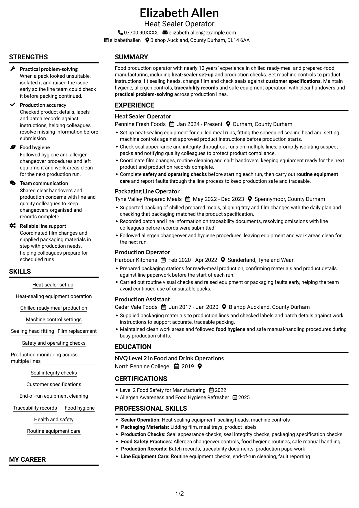 CV example — page 1