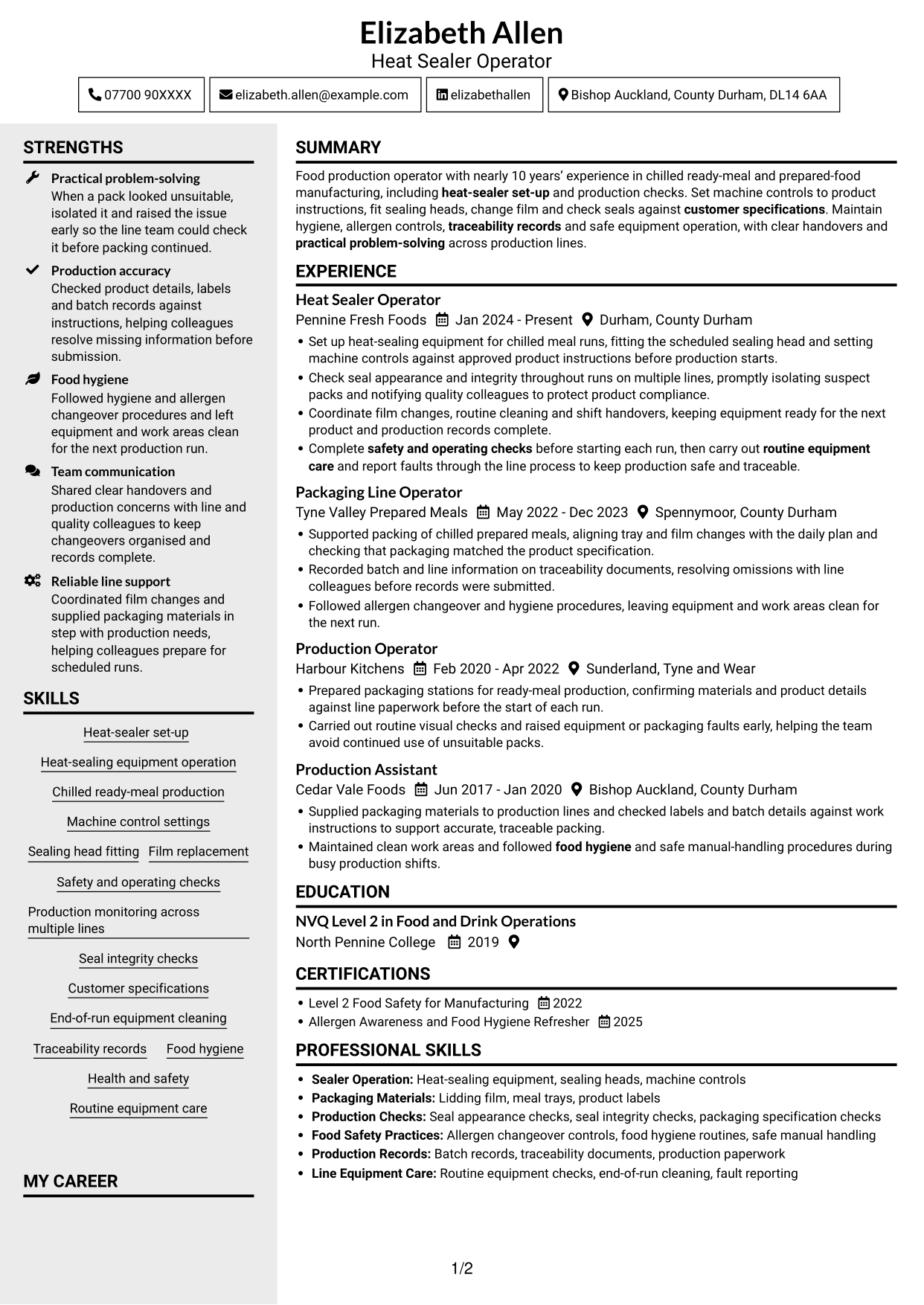 CV example — page 1