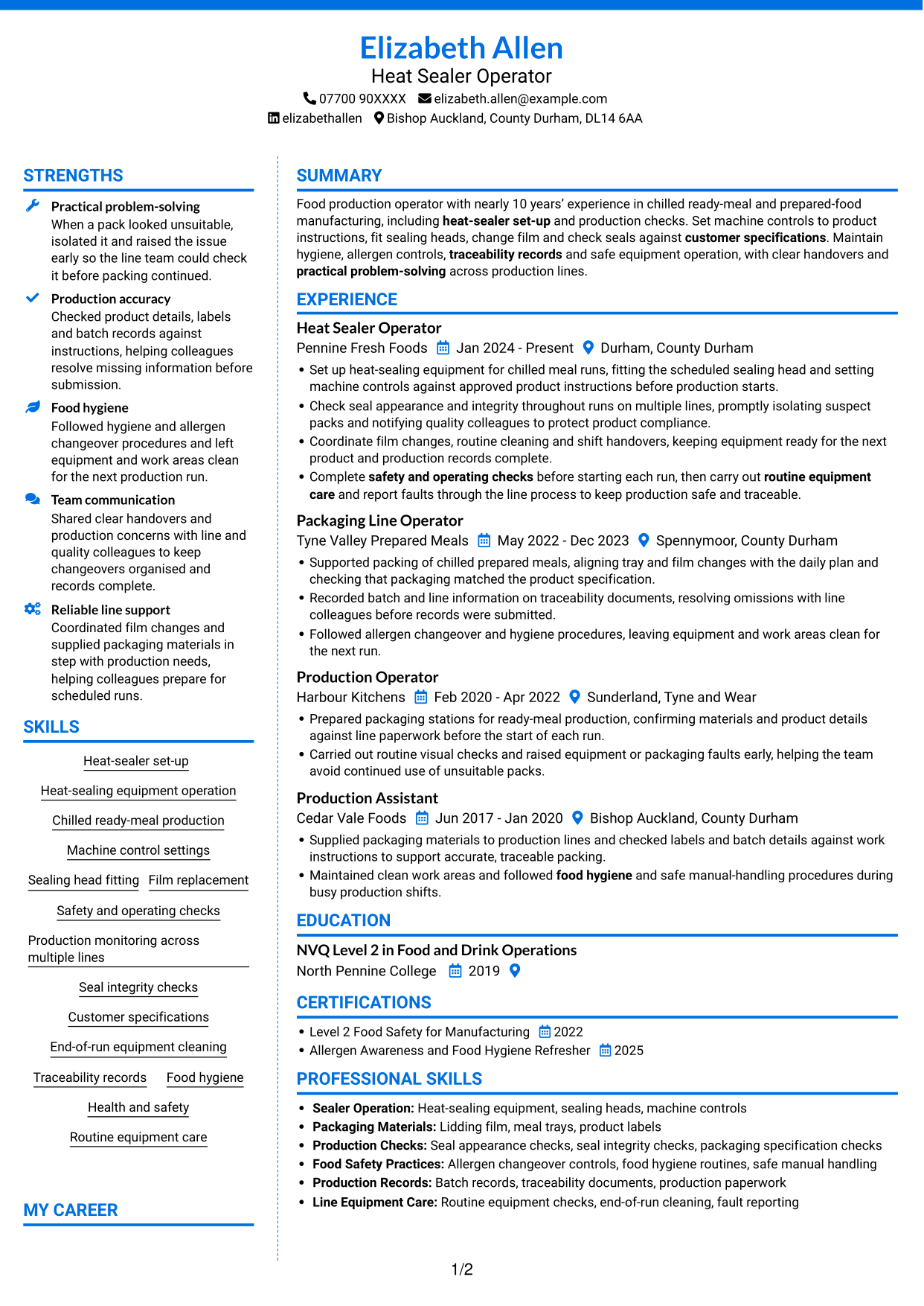 CV example — page 1