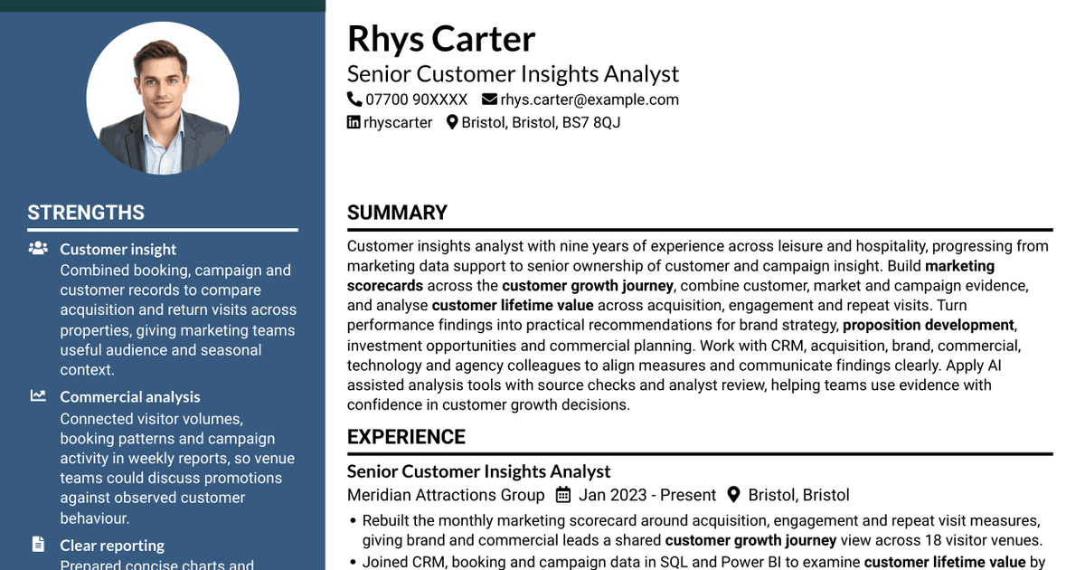 7 Insights Analyst - Customer and Marketing Insights CV Templates with Example