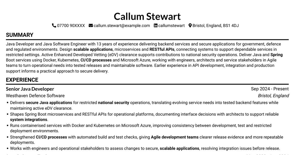 7 Java Developer - Secure Government Software CV Templates with Example