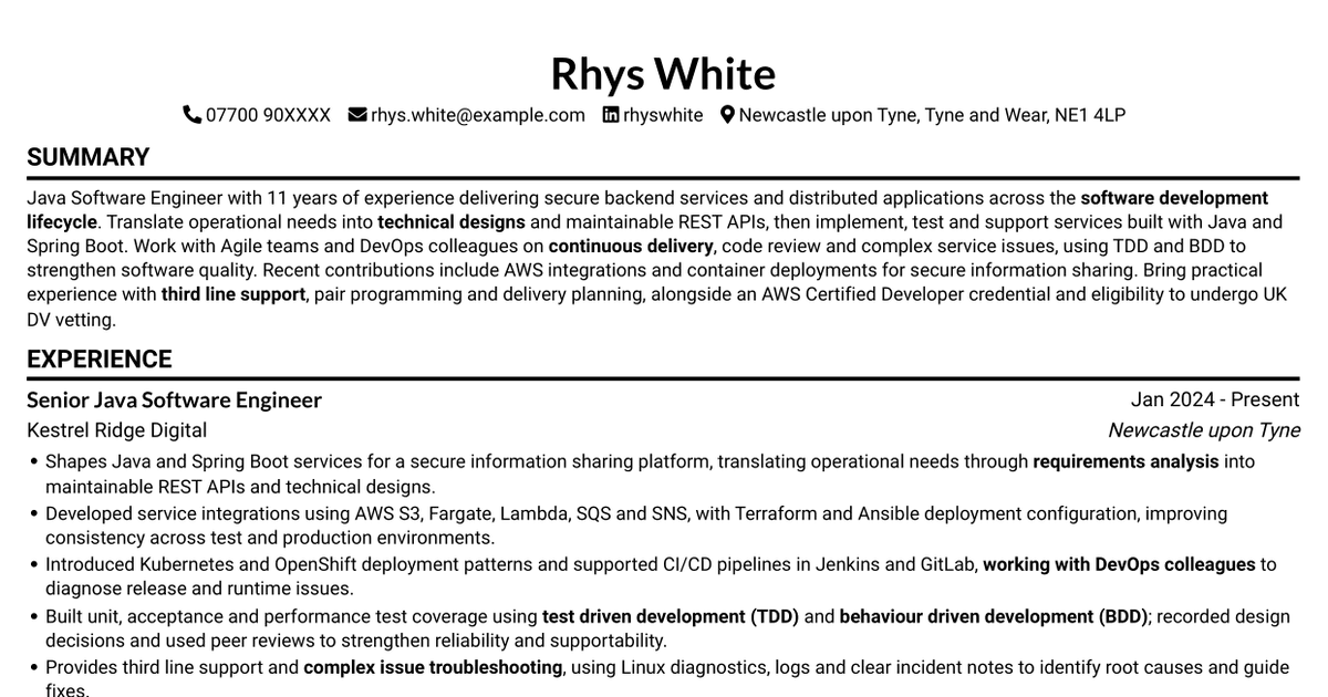 7 Java Software Engineer - Cross-Domain Security CV Templates with Example