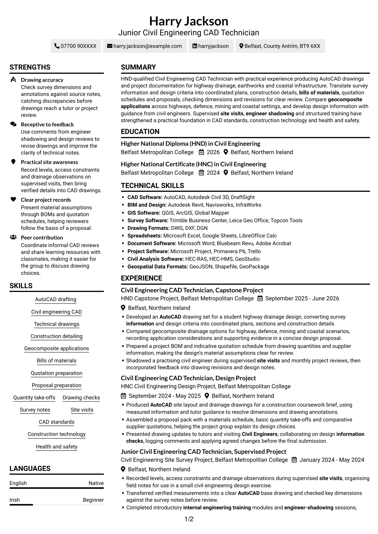 CV example — page 1