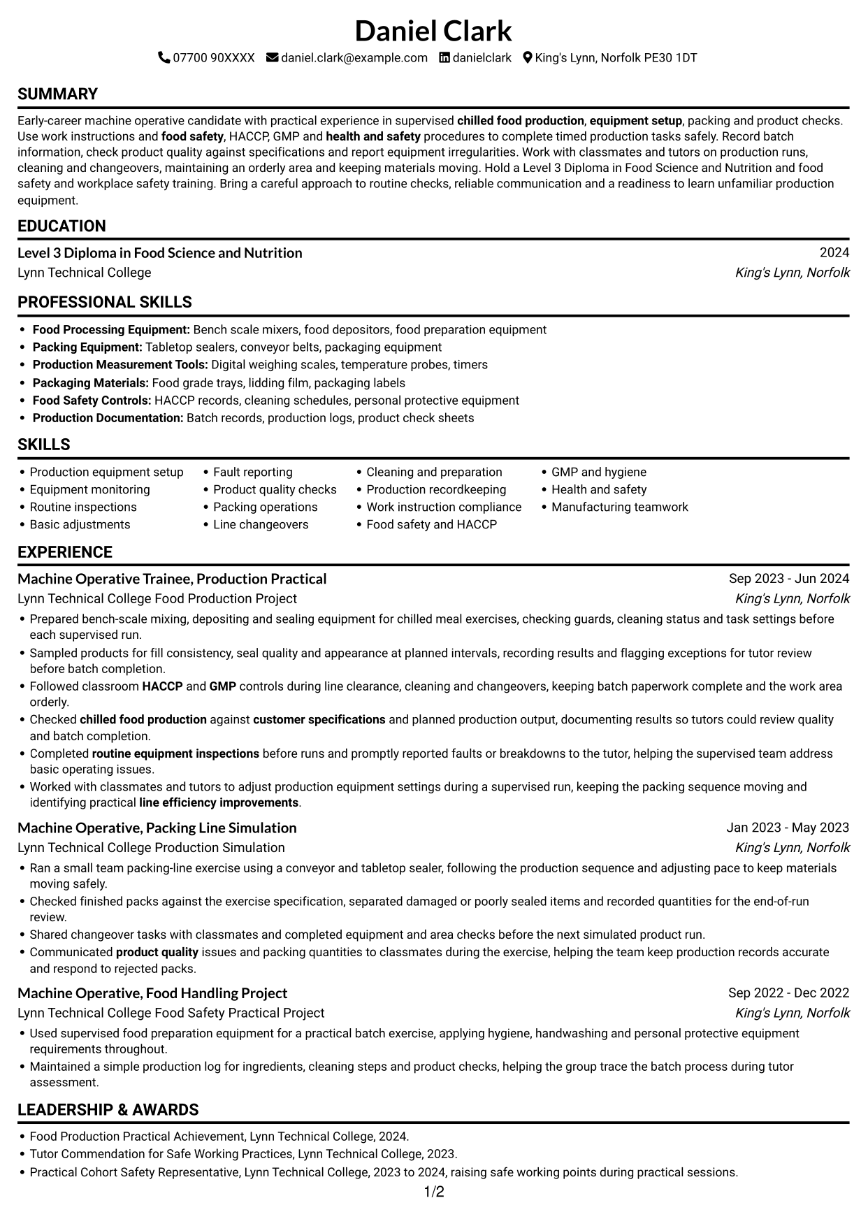 CV example — page 1
