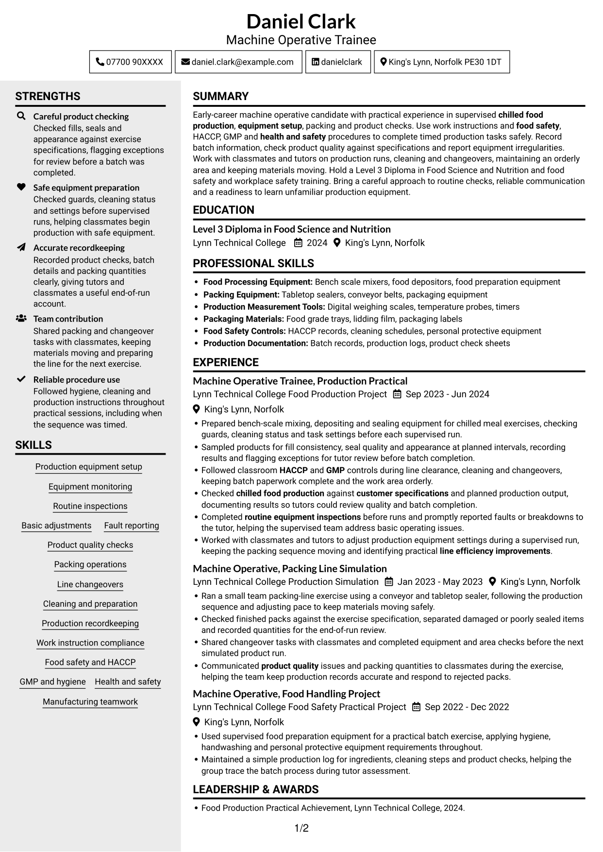 CV example — page 1