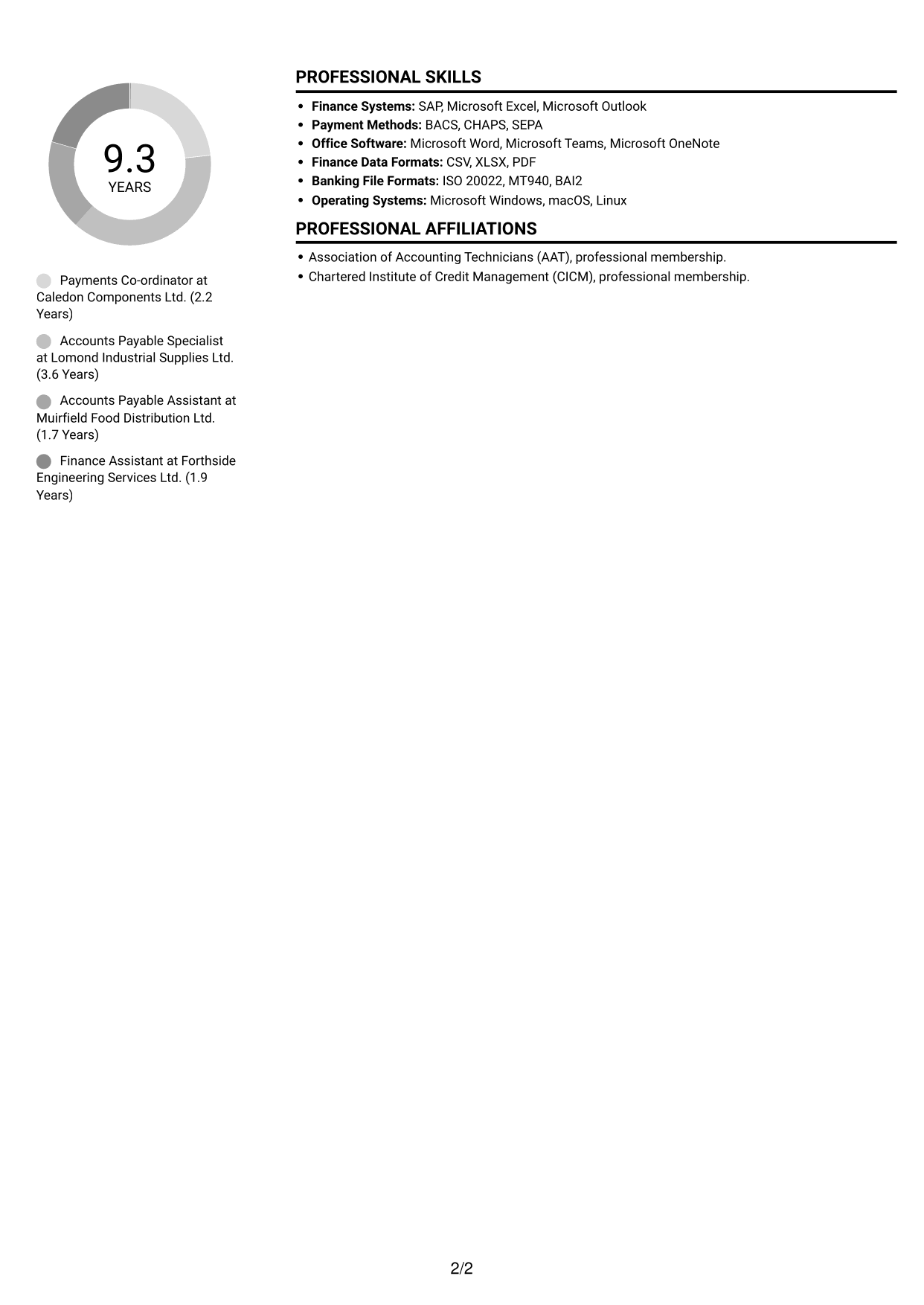 CV example — page 2