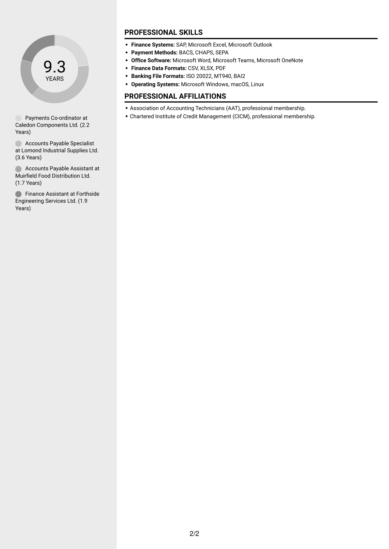 CV example — page 2