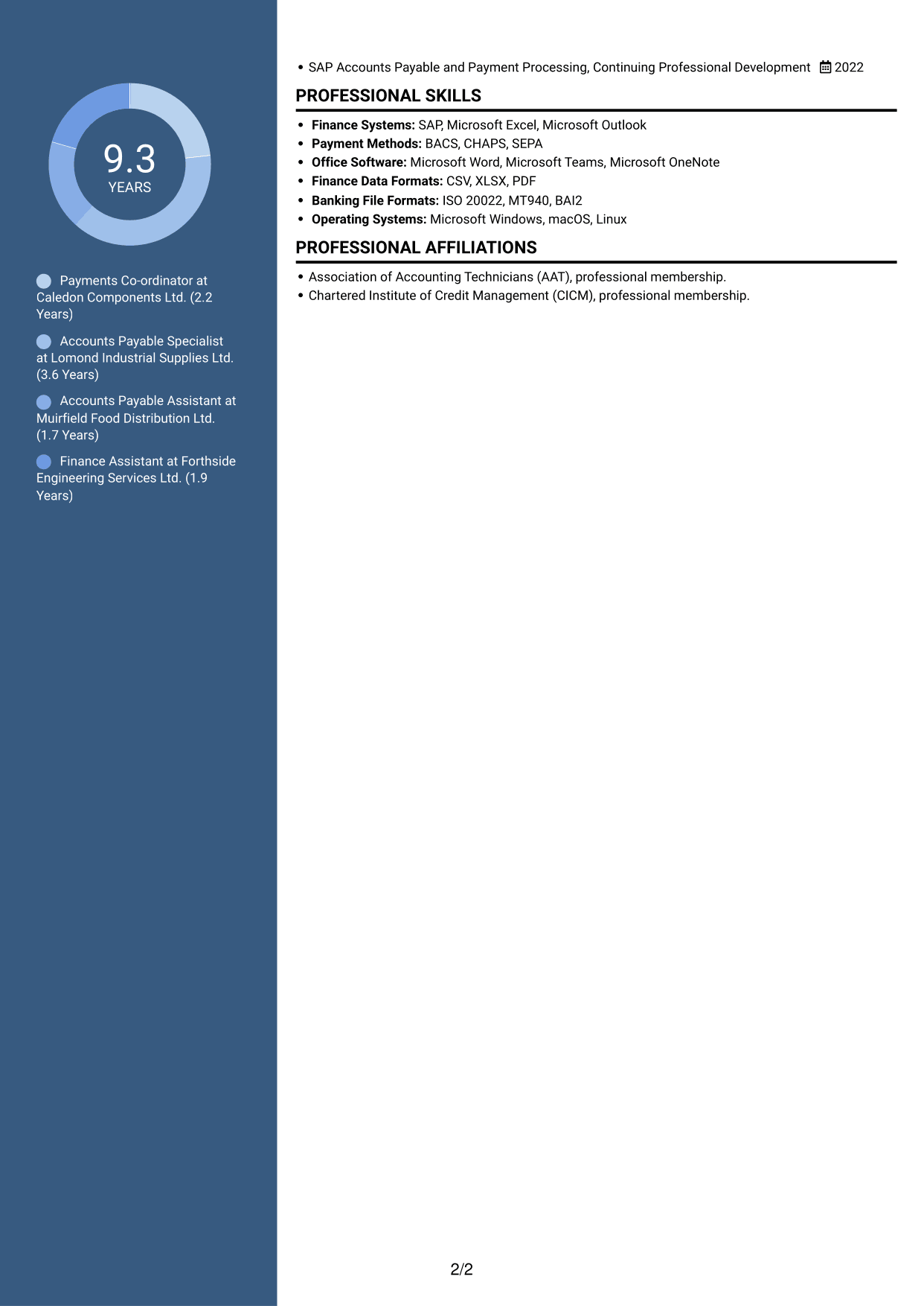 CV example — page 2