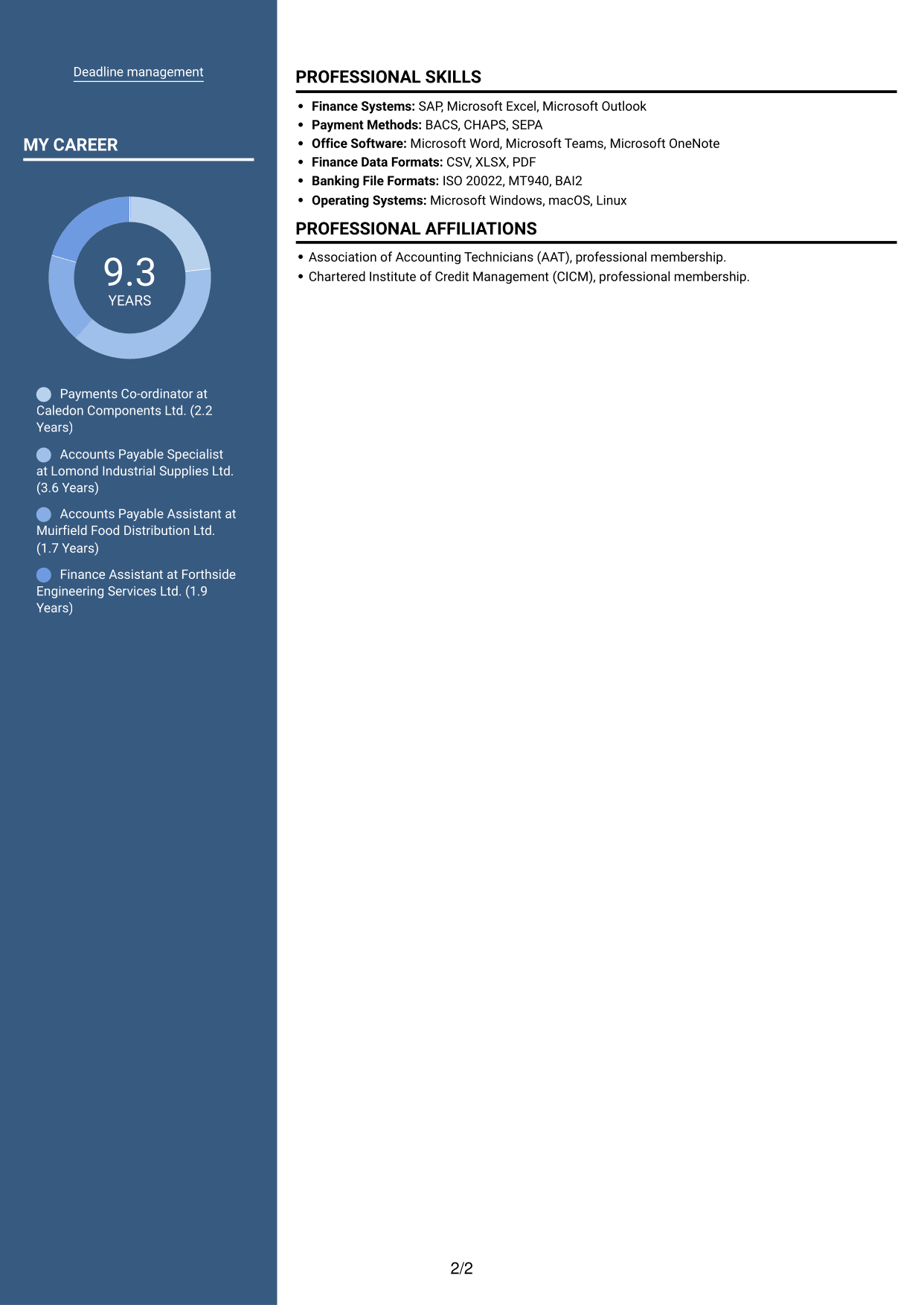 CV example — page 2