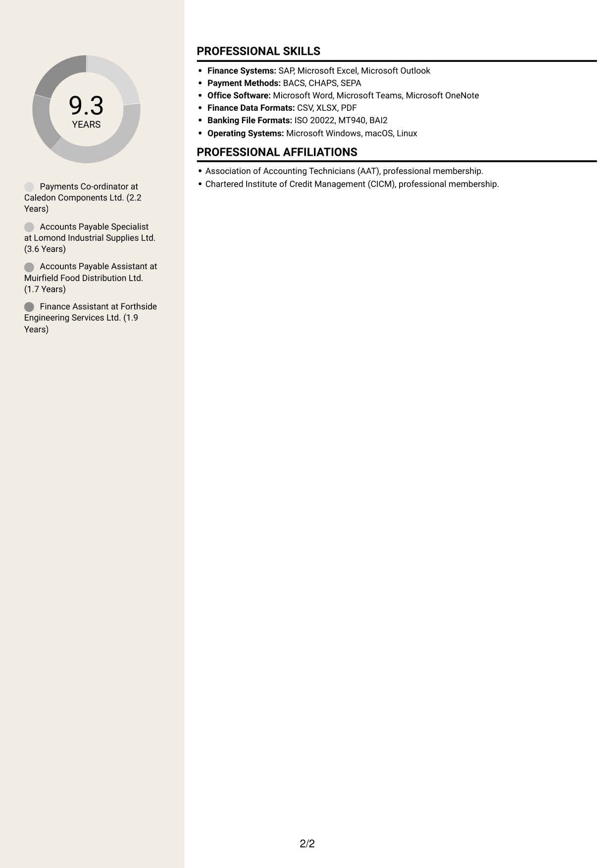 CV example — page 2