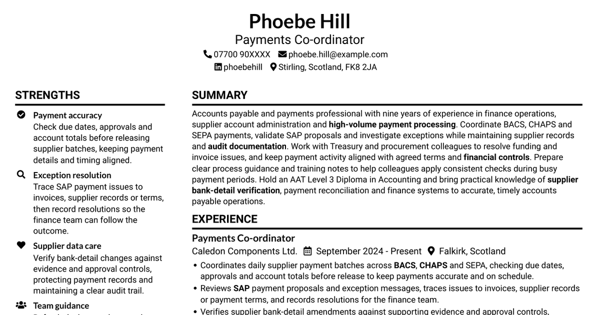7 Payments Co-ordinator - Accounts Payable CV Templates with Example