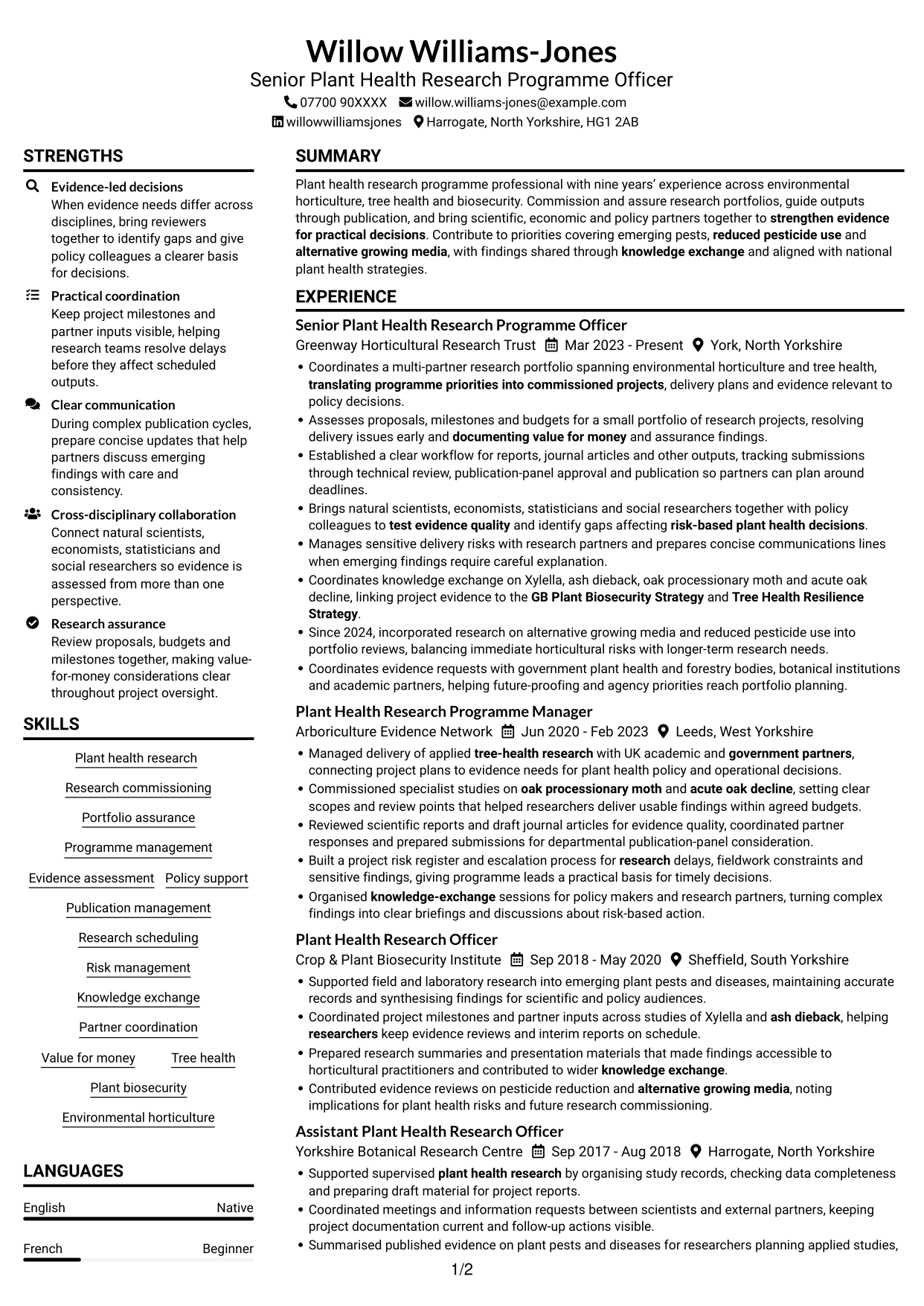 CV example — page 1