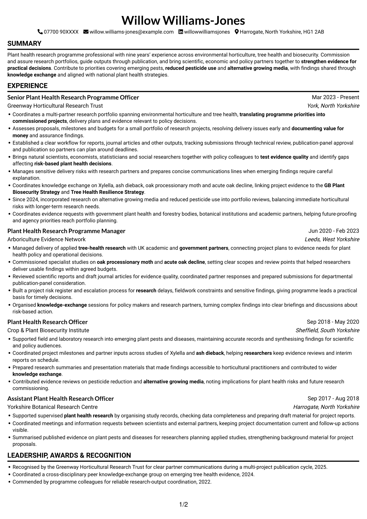 CV example — page 1