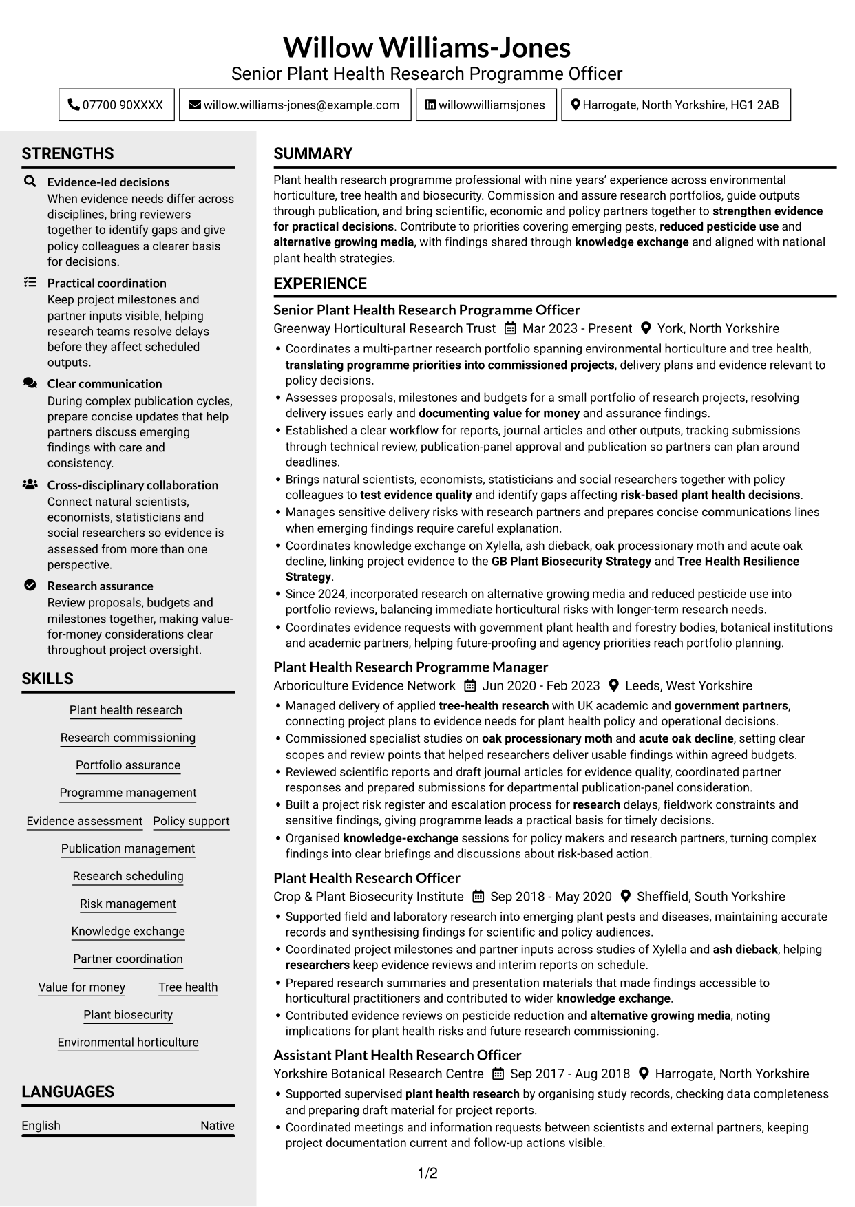 CV example — page 1