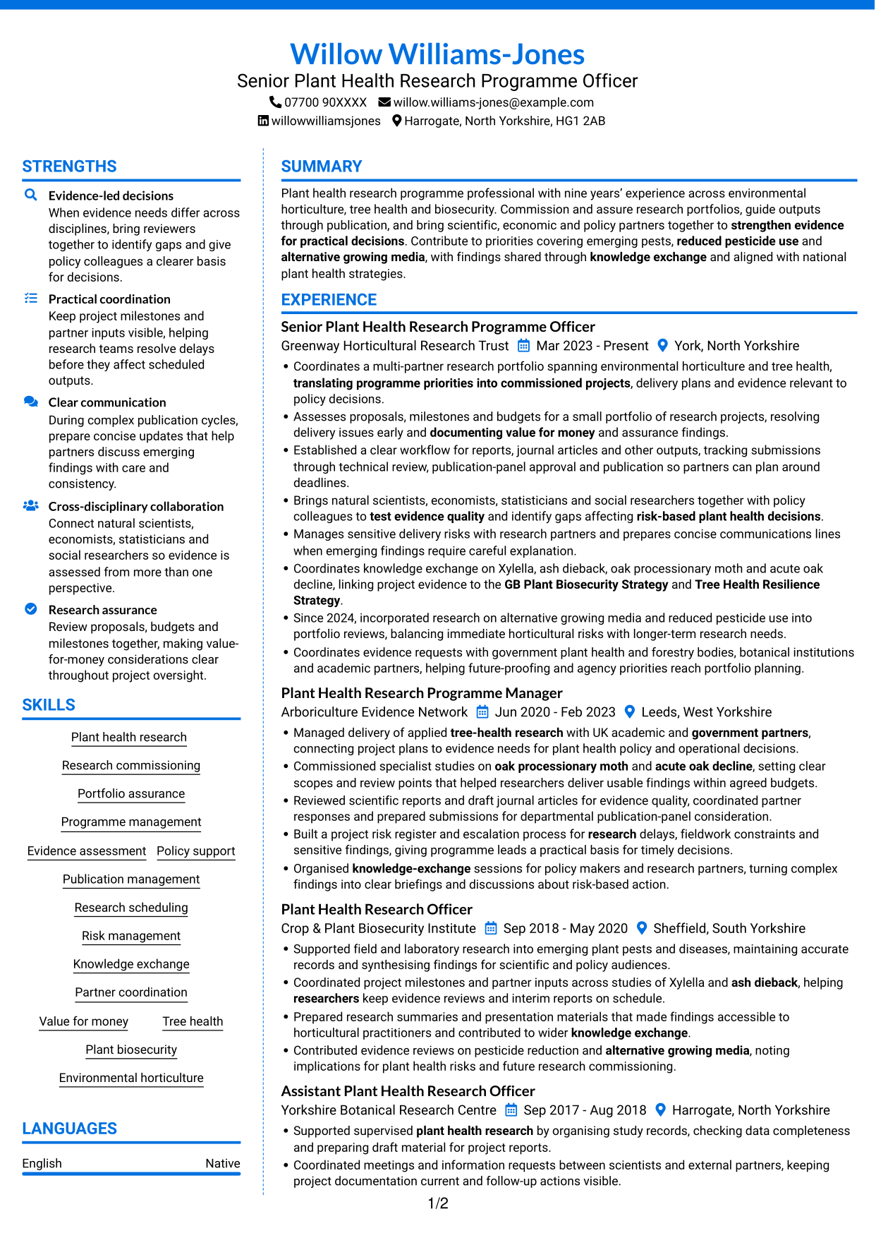 CV example — page 1