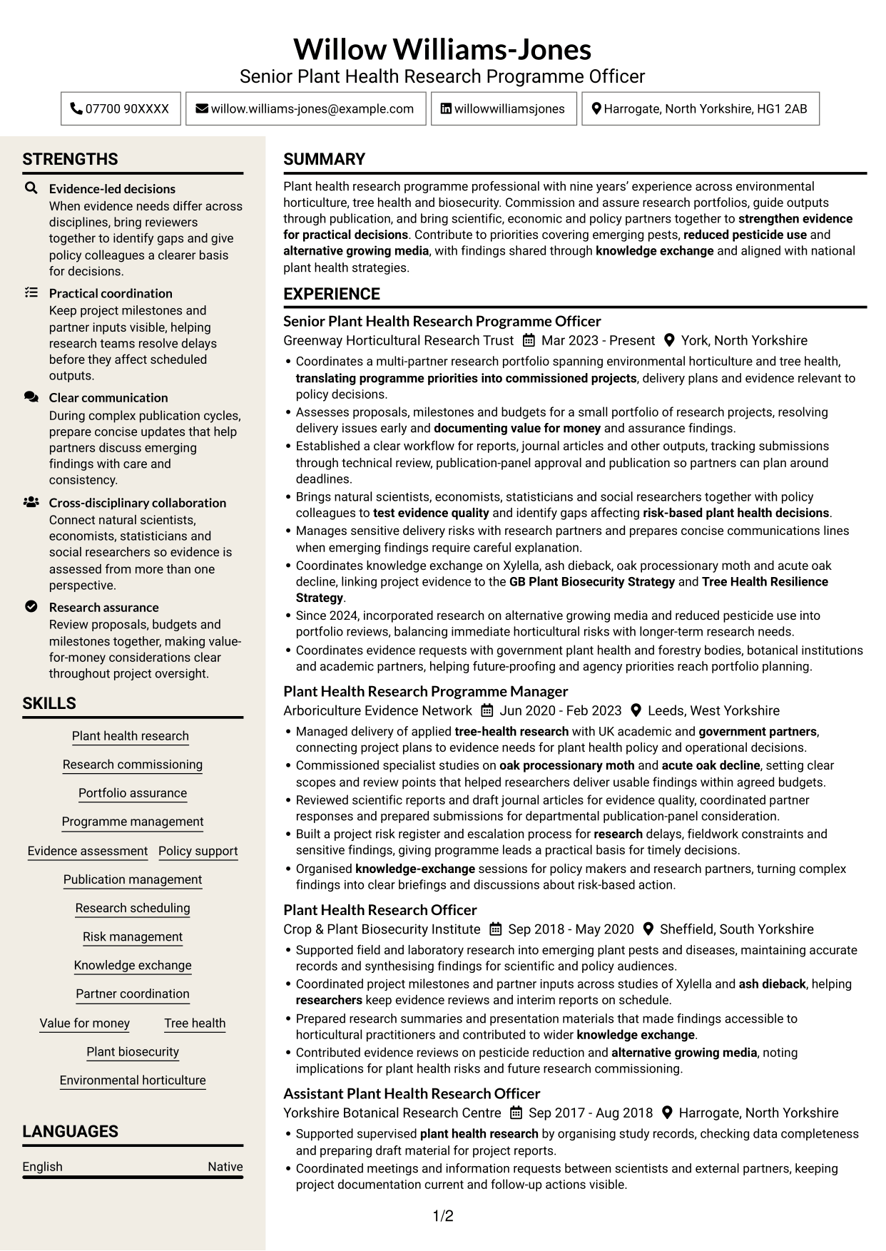 CV example — page 1