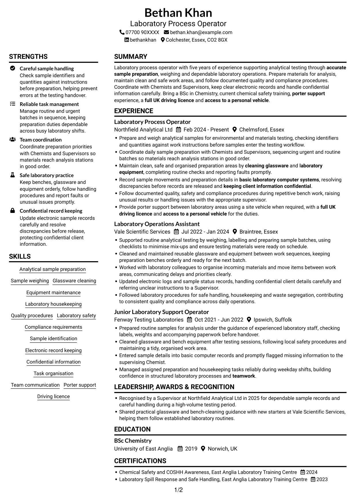 CV example — page 1