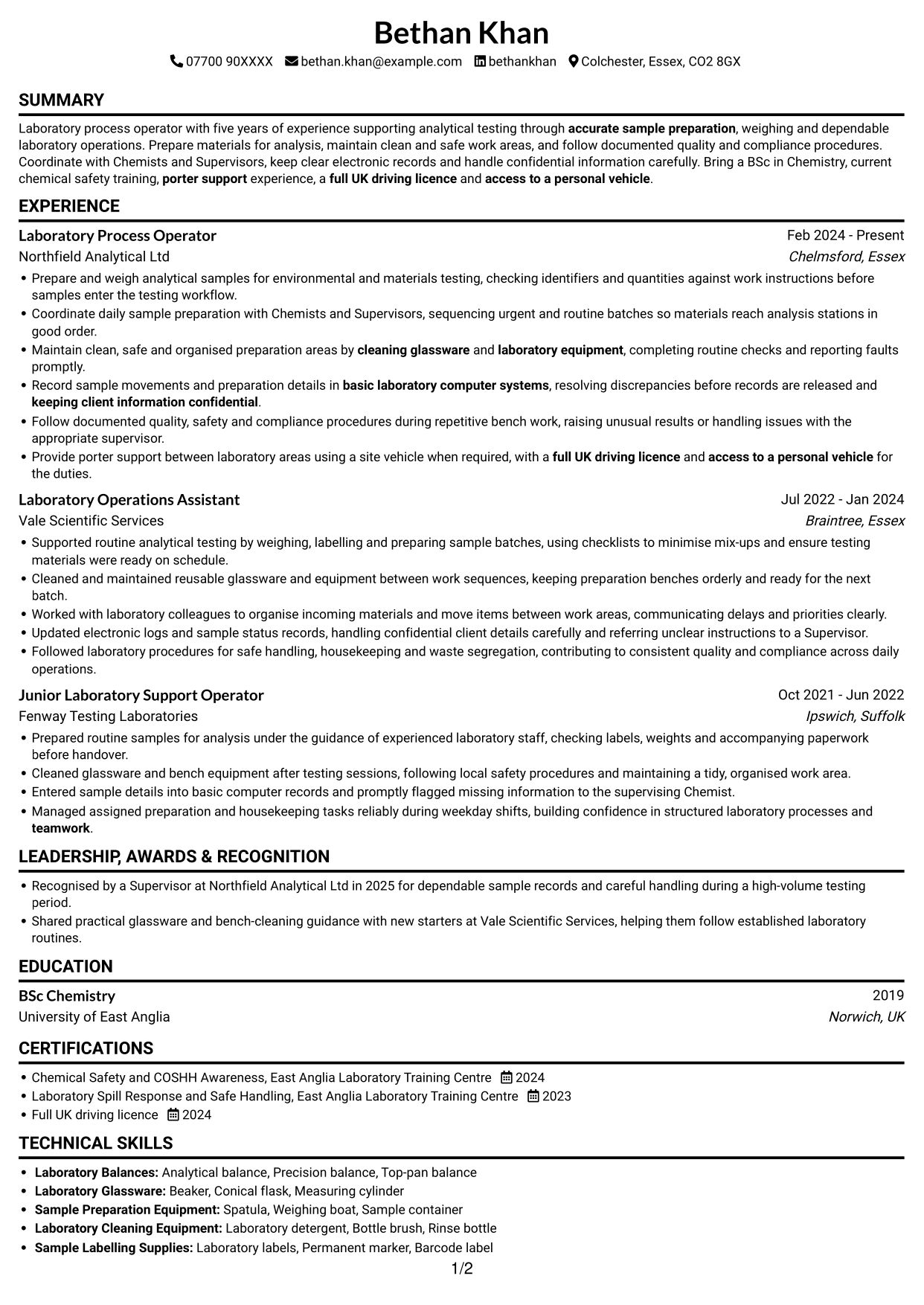 CV example — page 1