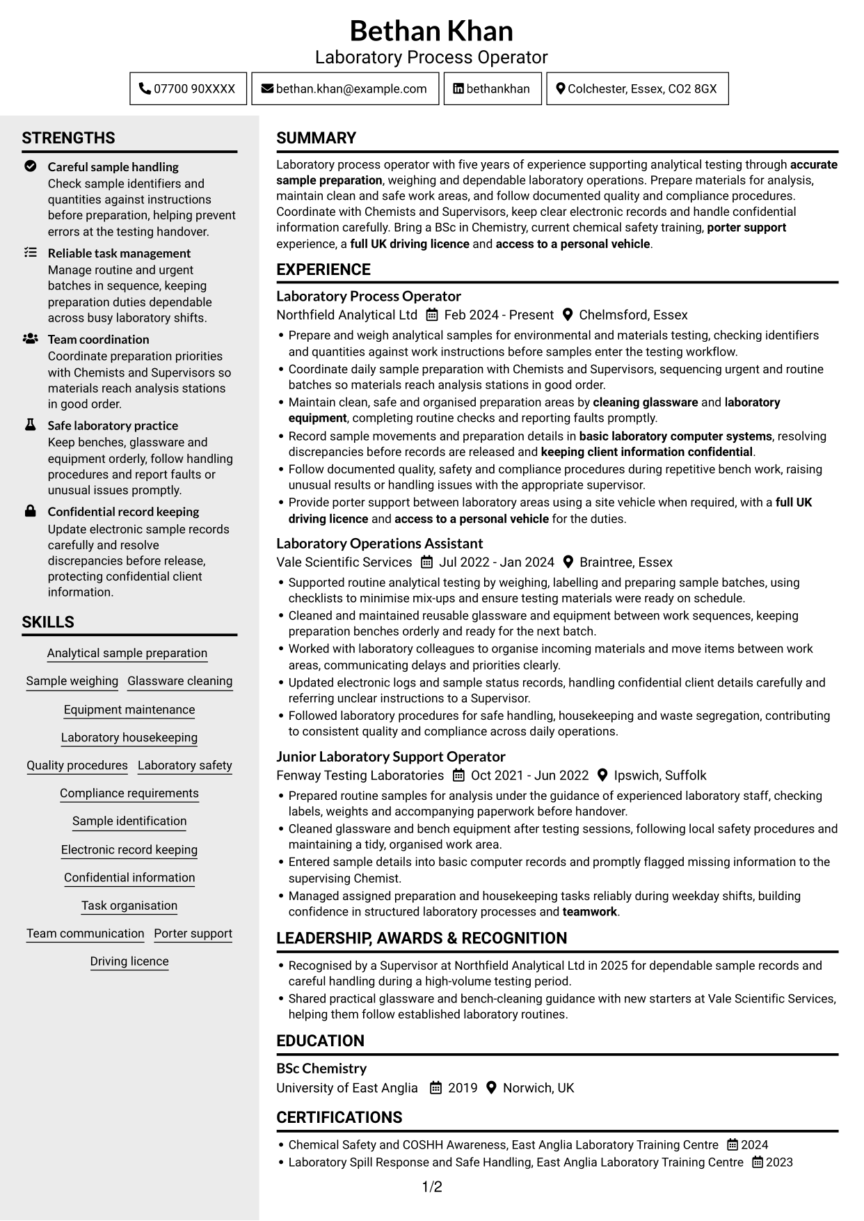 CV example — page 1